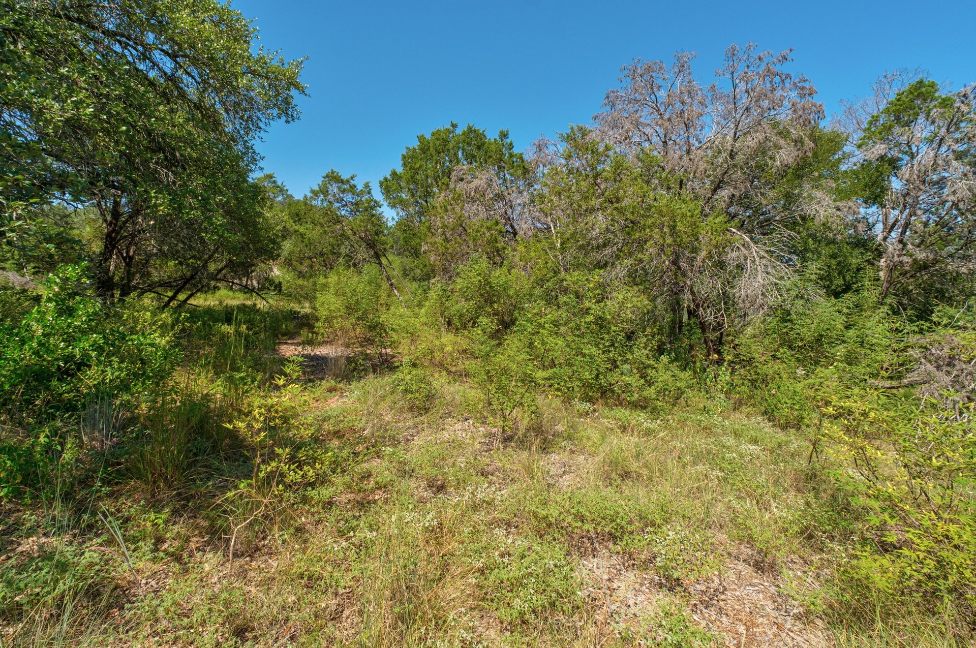 3500 Parliament Cove