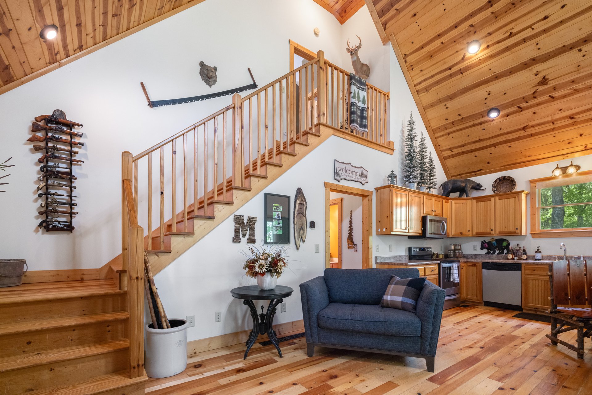 169 Wildwood Court, Ellijay, Georgia 30540
