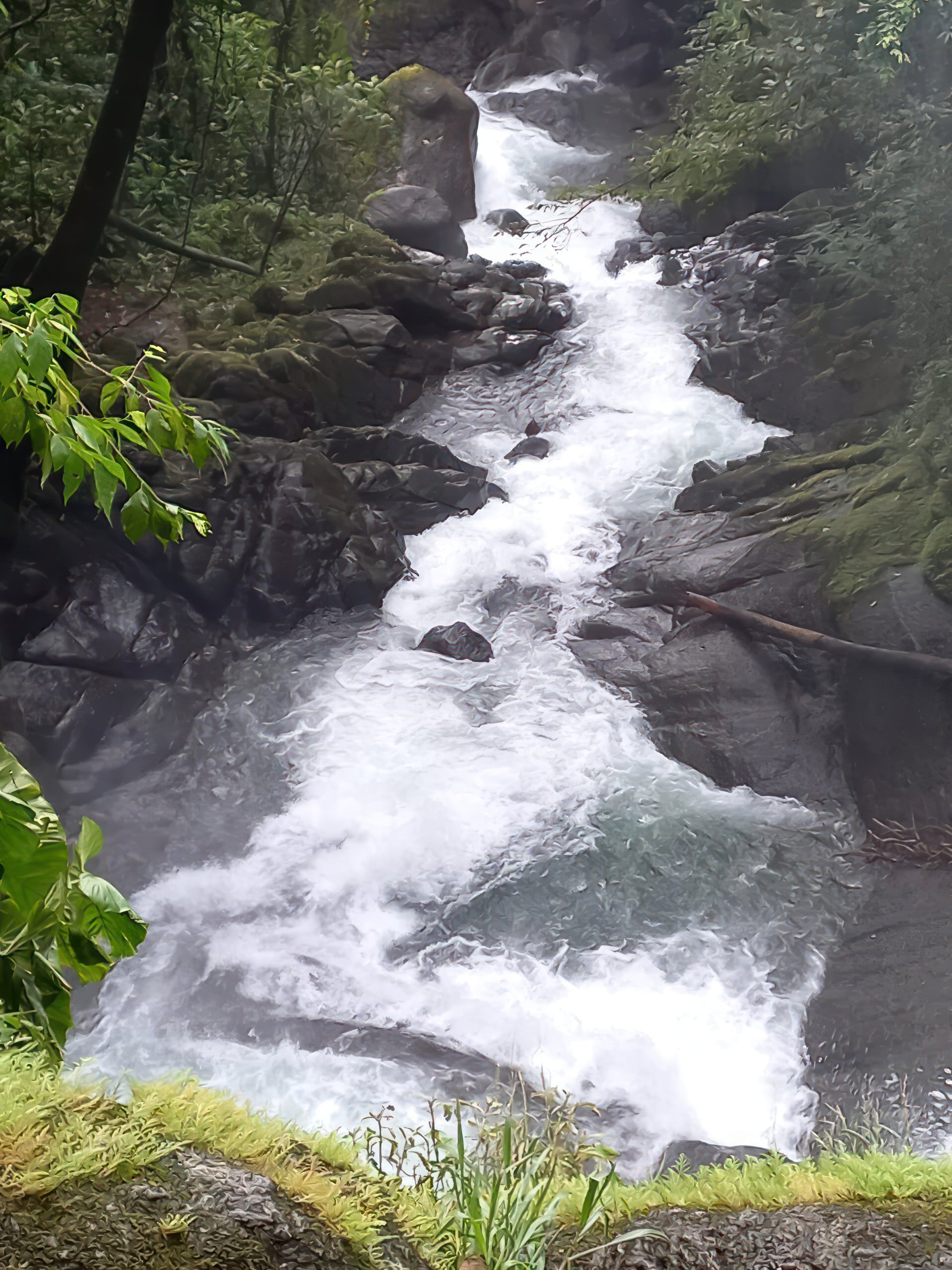 61 Acres of Pure Nature for Off-Grid Living & Conservation | Quepos