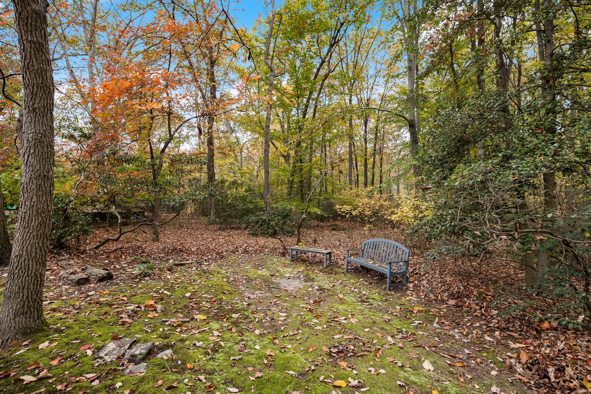 2A Laurel Dr