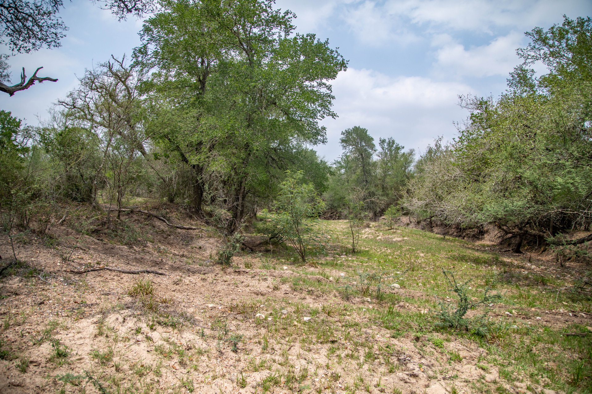 Five Mile Creek Reserve | 252.73± Acres-High Fence | DeWitt County, TX