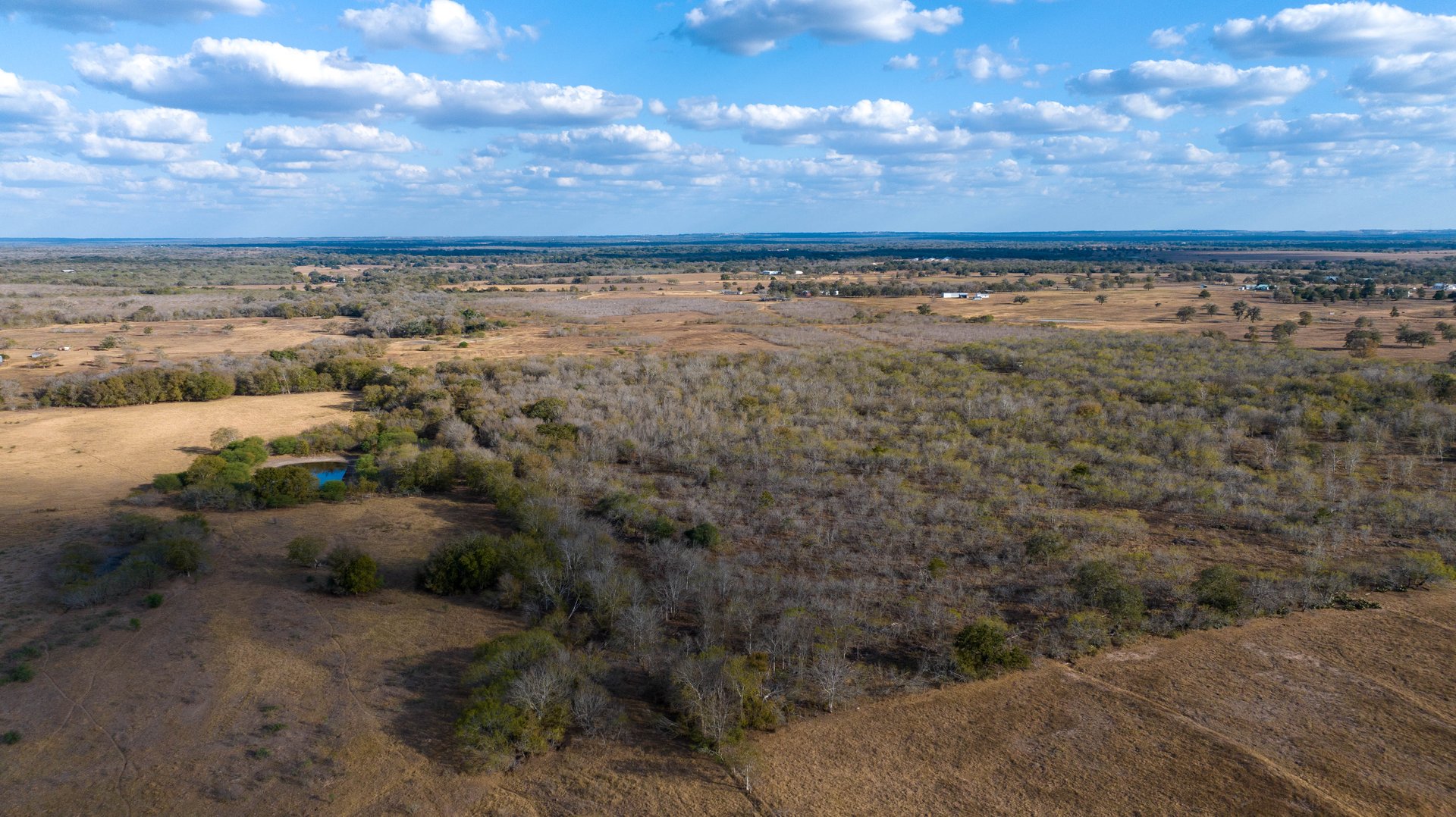 Gonzales County | 104+/- Acres
