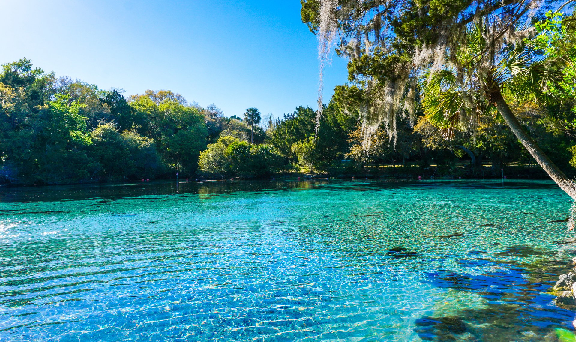 Comprehensive Guide to Florida Neighborhoods | Sharon Will