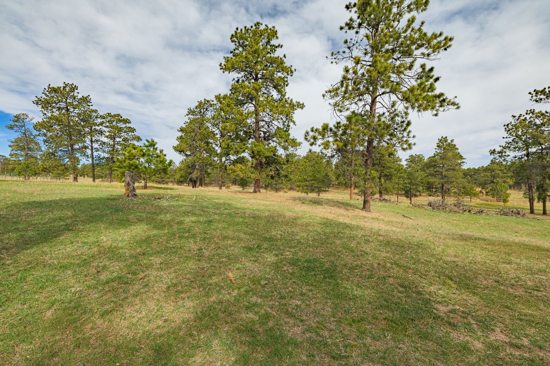 13354 N Meridian Road