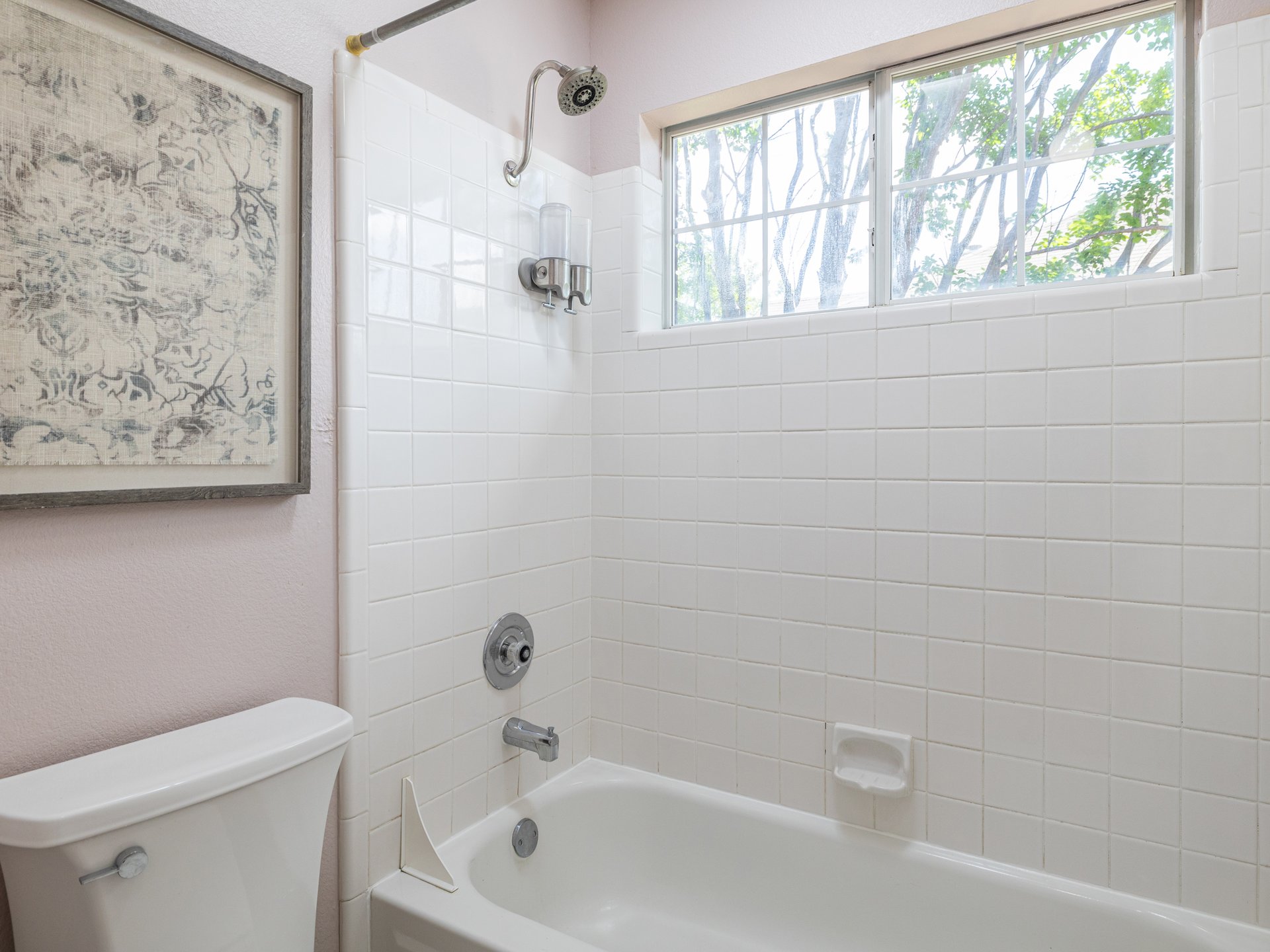 Rare Greenbelt Gem in Steiner Ranch with Major Upgrades