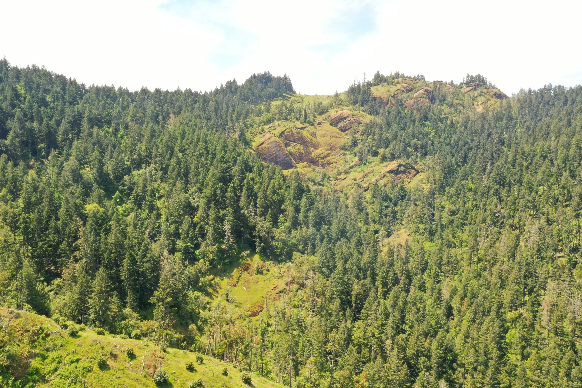 STRICKLAND BOULDER FOREST