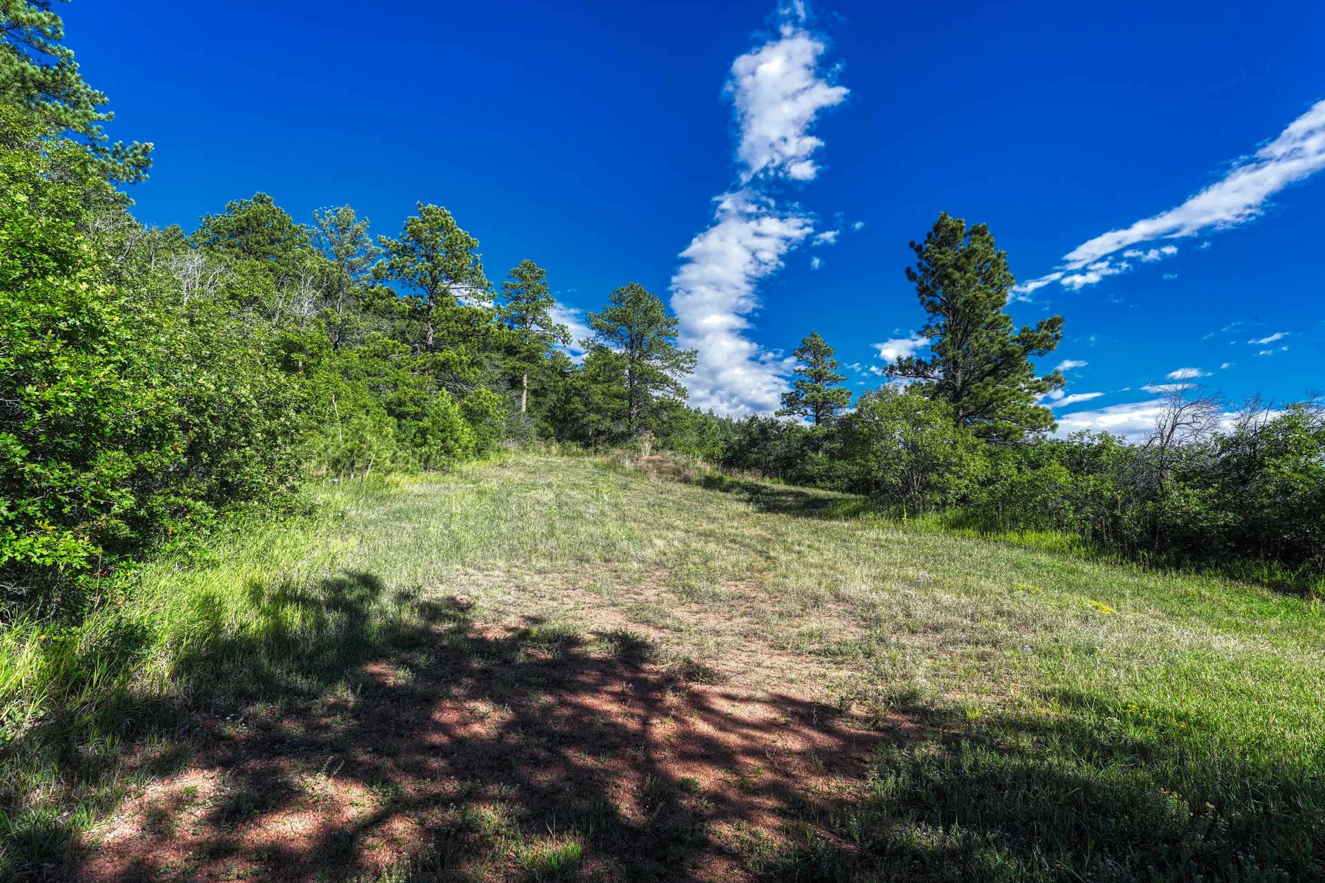 00 Columbine Road