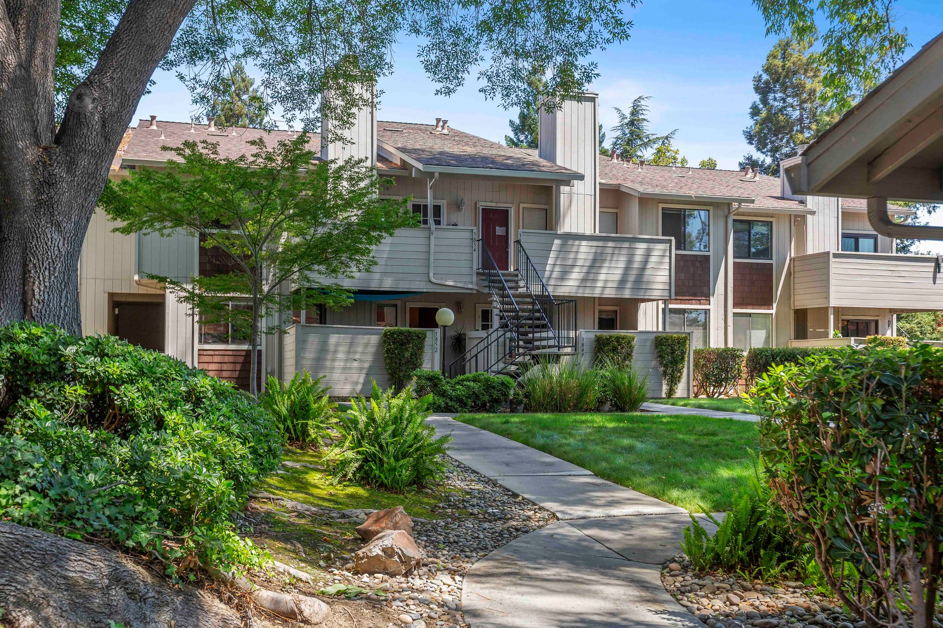 3852 Panda Place