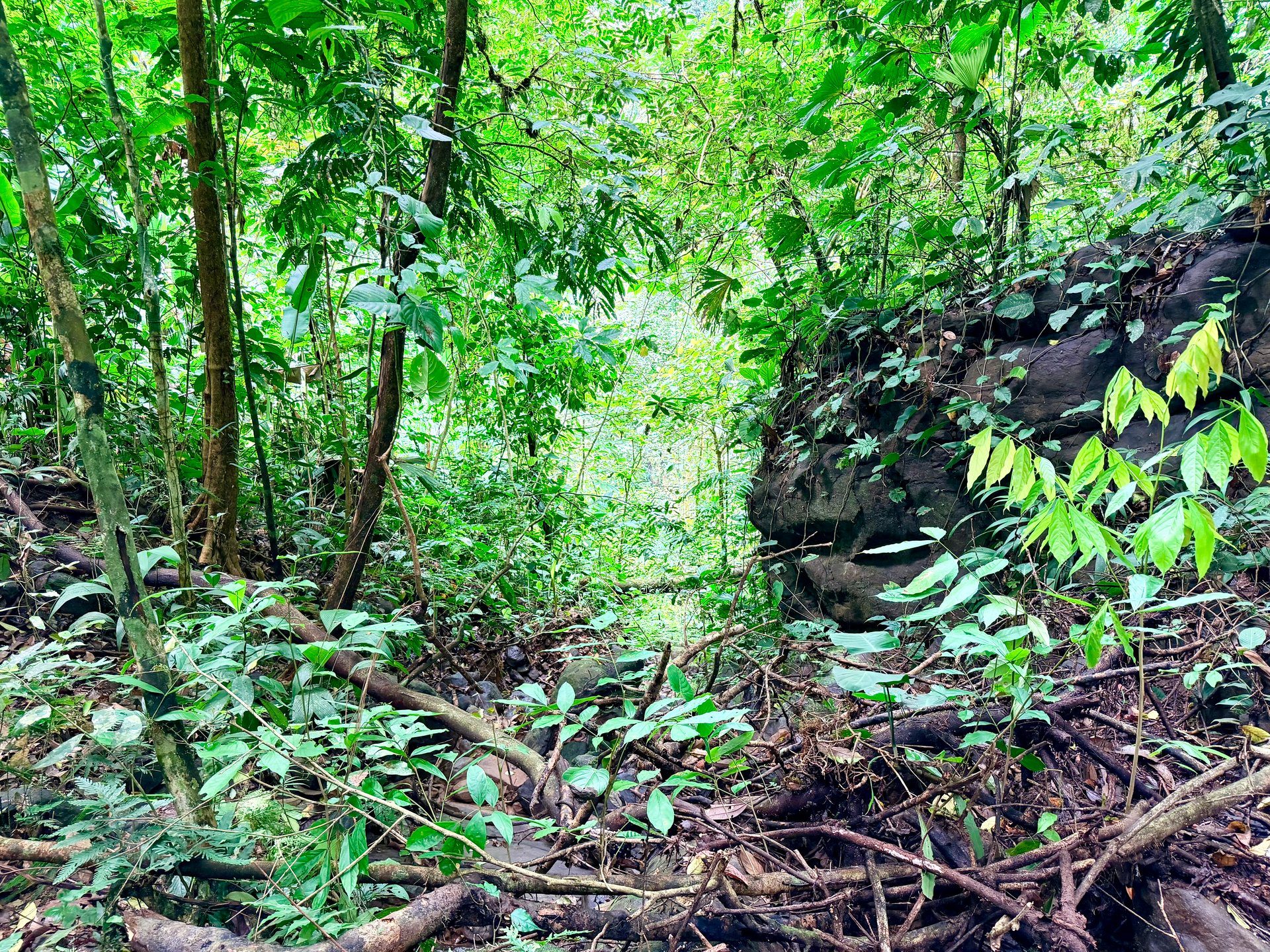 La Unión Road Development – Buildable Lots with River Access in Uvita