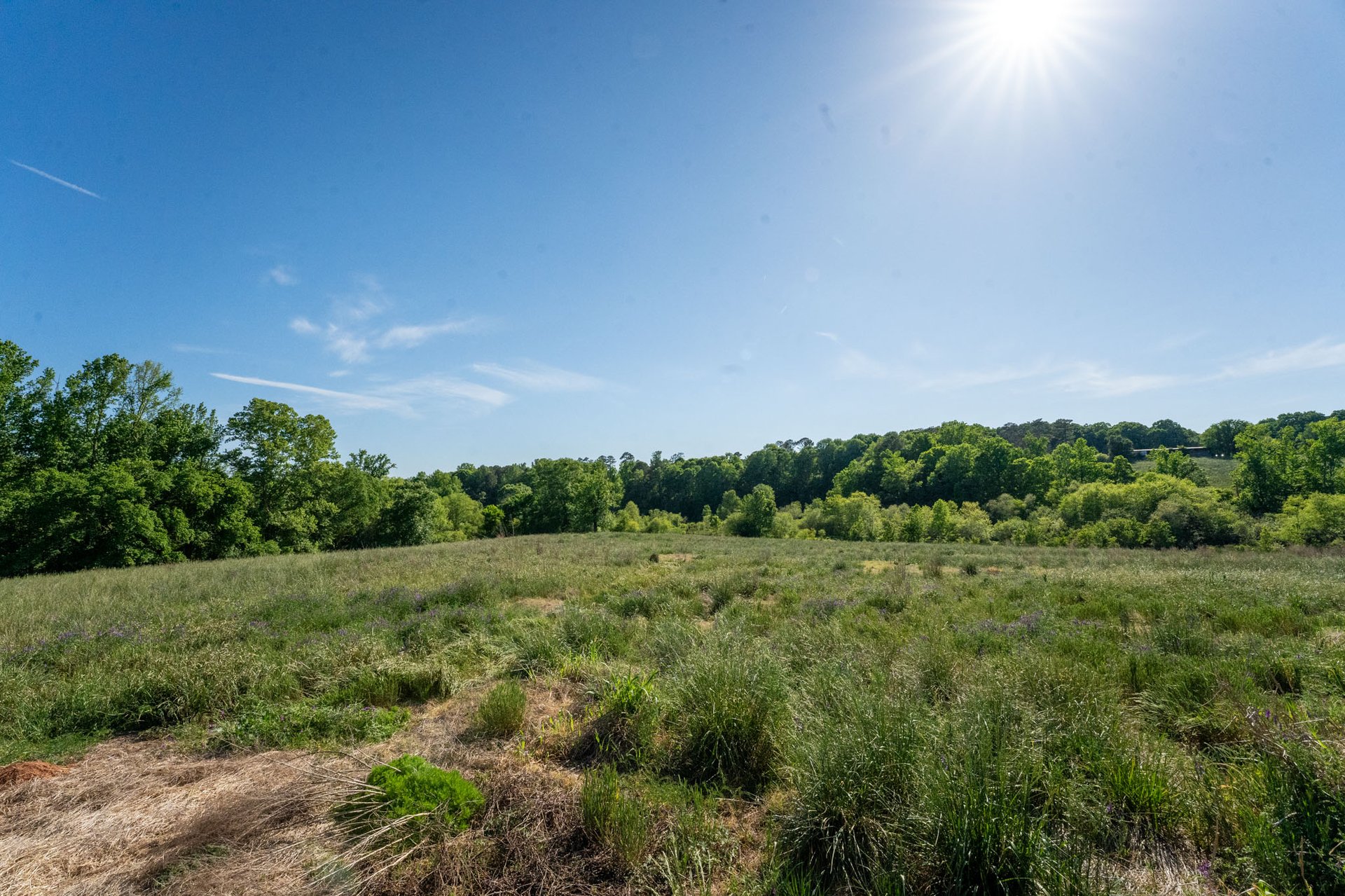 The Ranches at Sandy Creek