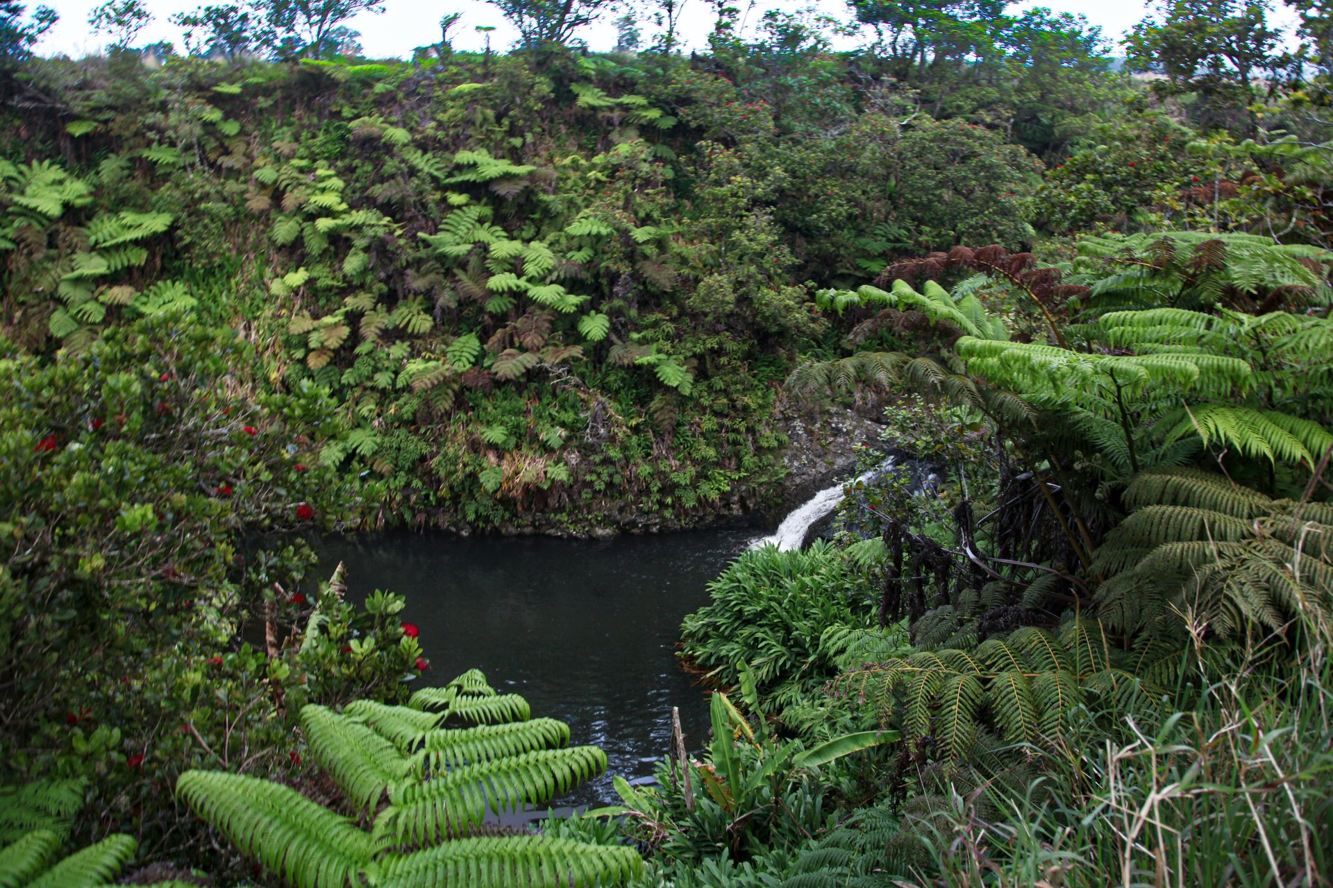 Waipi'o Valley Reserve