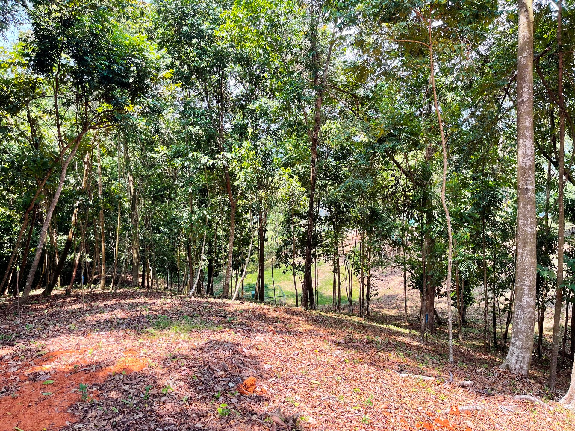 2.5 Acre Jungle and Valley View Home site in Dominical