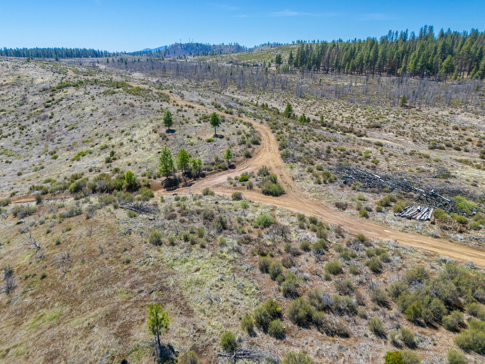 Klamath Basin