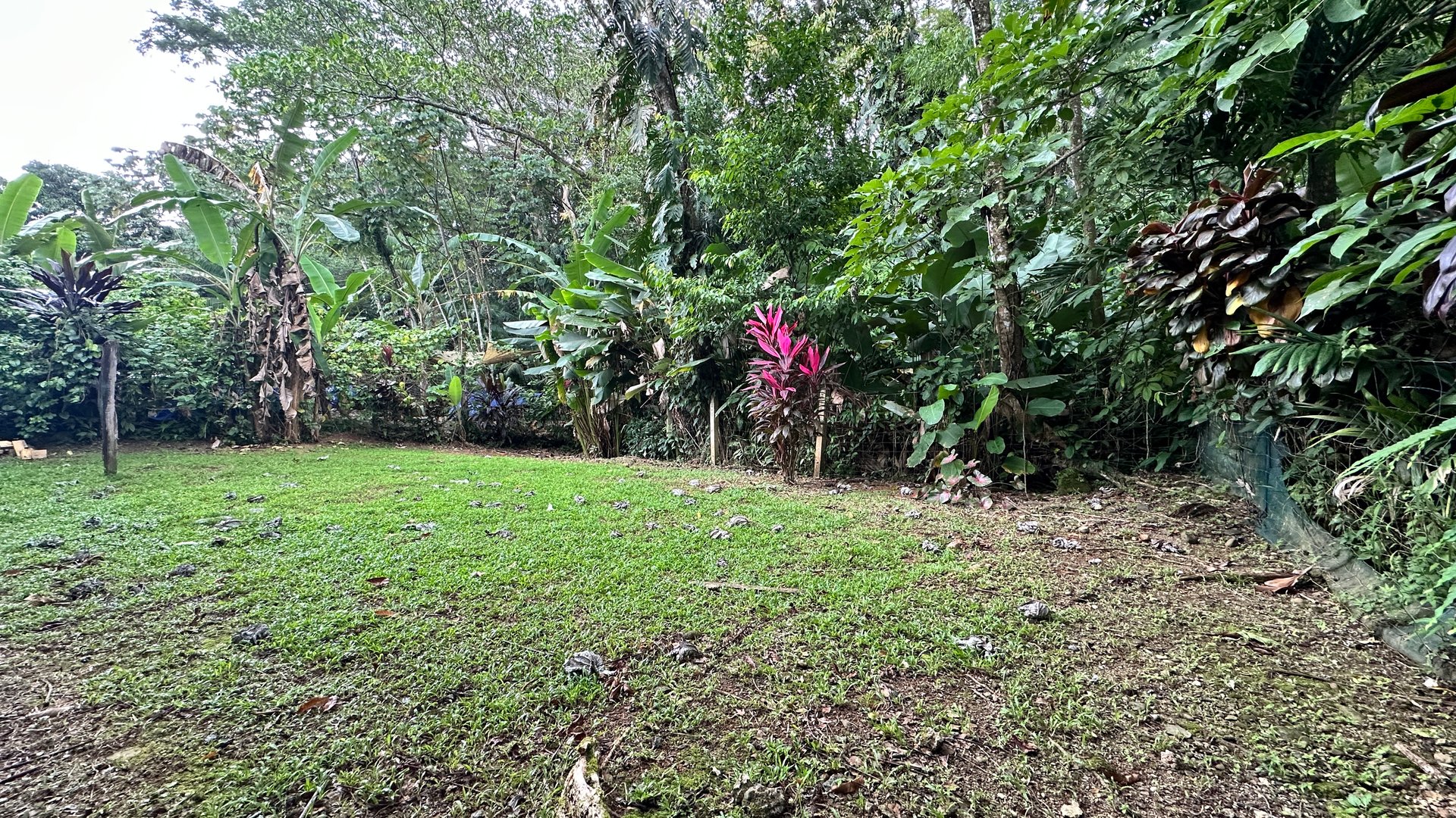 Commercial Space In Prime High Traffic Area in Uvita Costa Rica with garden