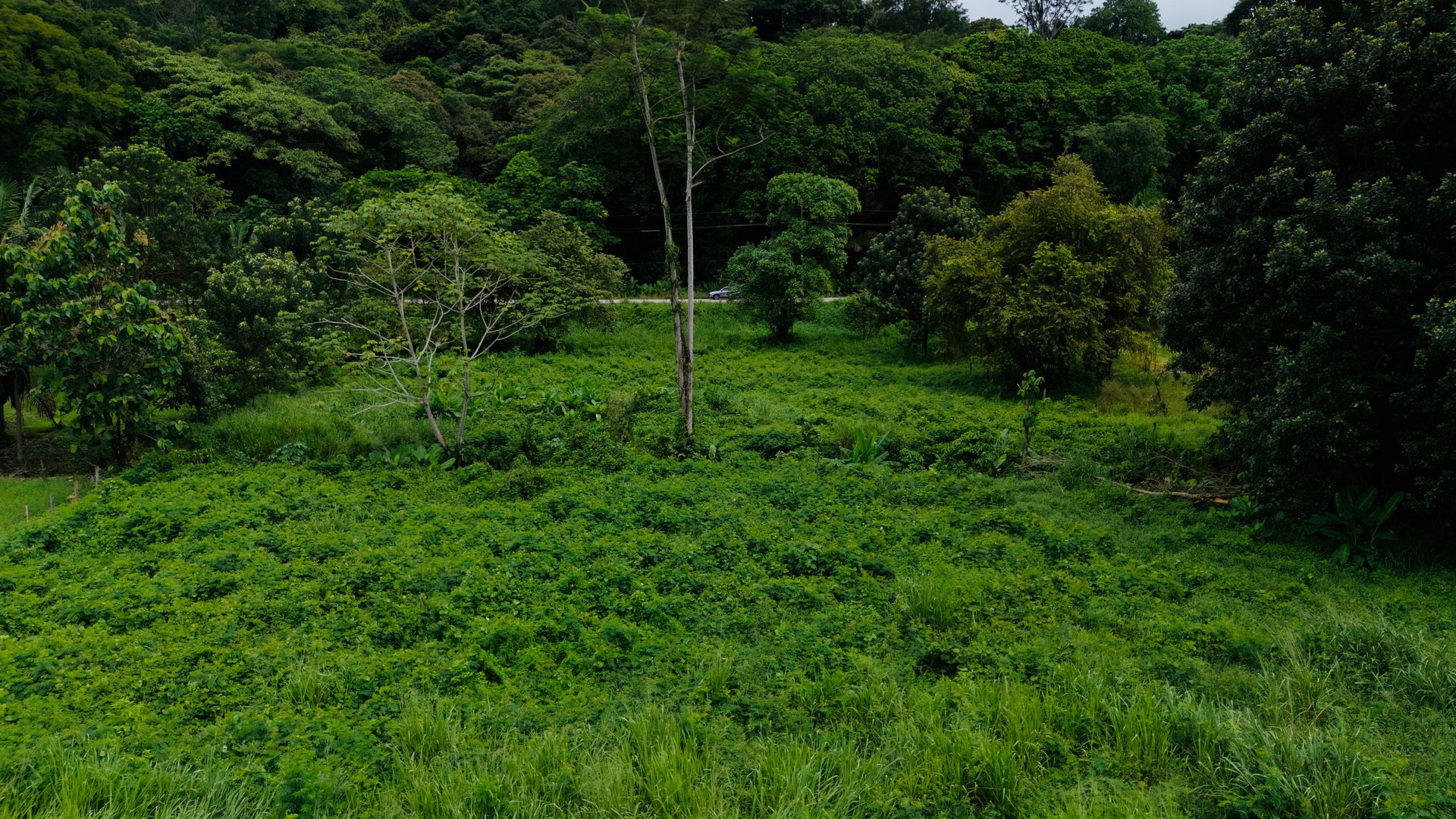 Strategic 5000sqm Commercial Property in Uvita: Perfect for any Business Vision