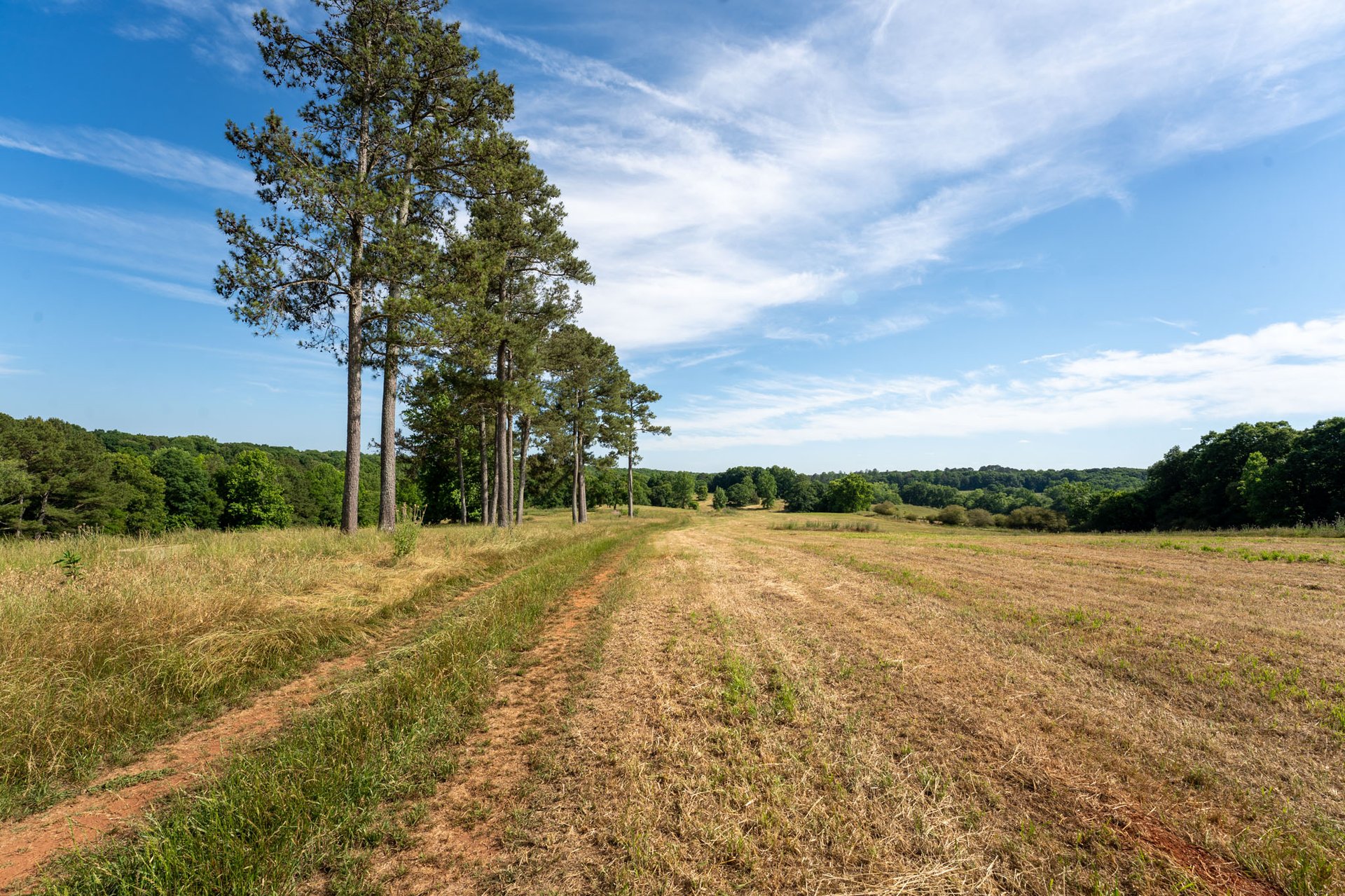 The Ranches at Sandy Creek