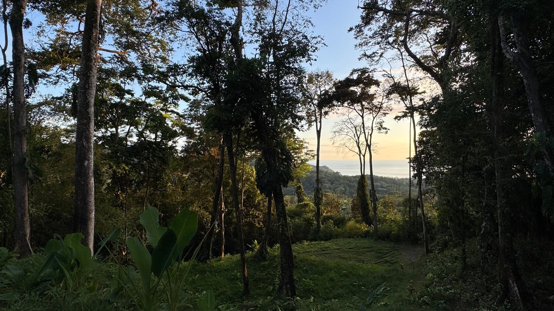 Two Ocean View Lots in Uvita – Easy Access and Large Building Sites