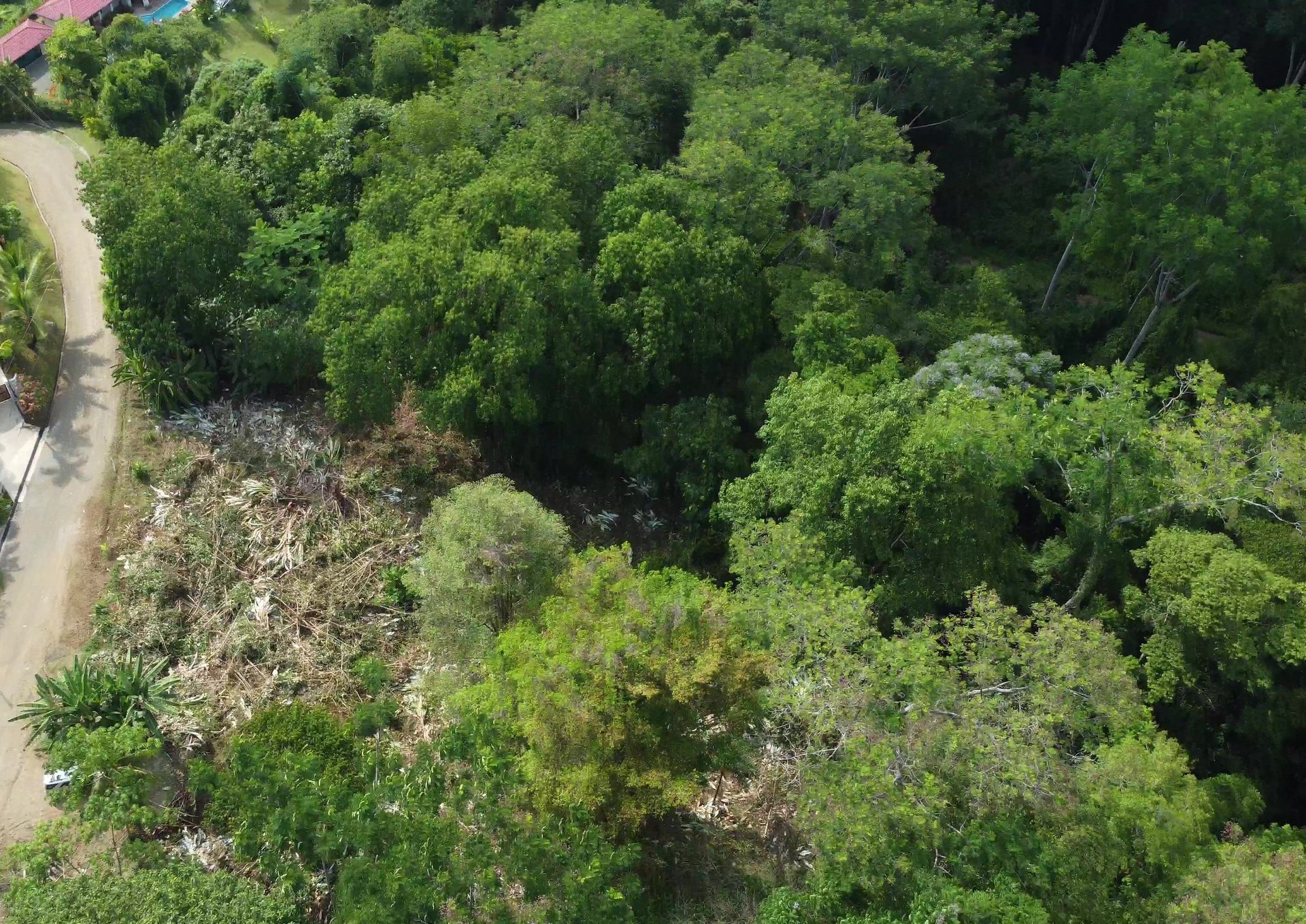 Ojochal - 1 Acre Ready To Build Jungle Lot, Ocean Breezes in Wildlife Corridore