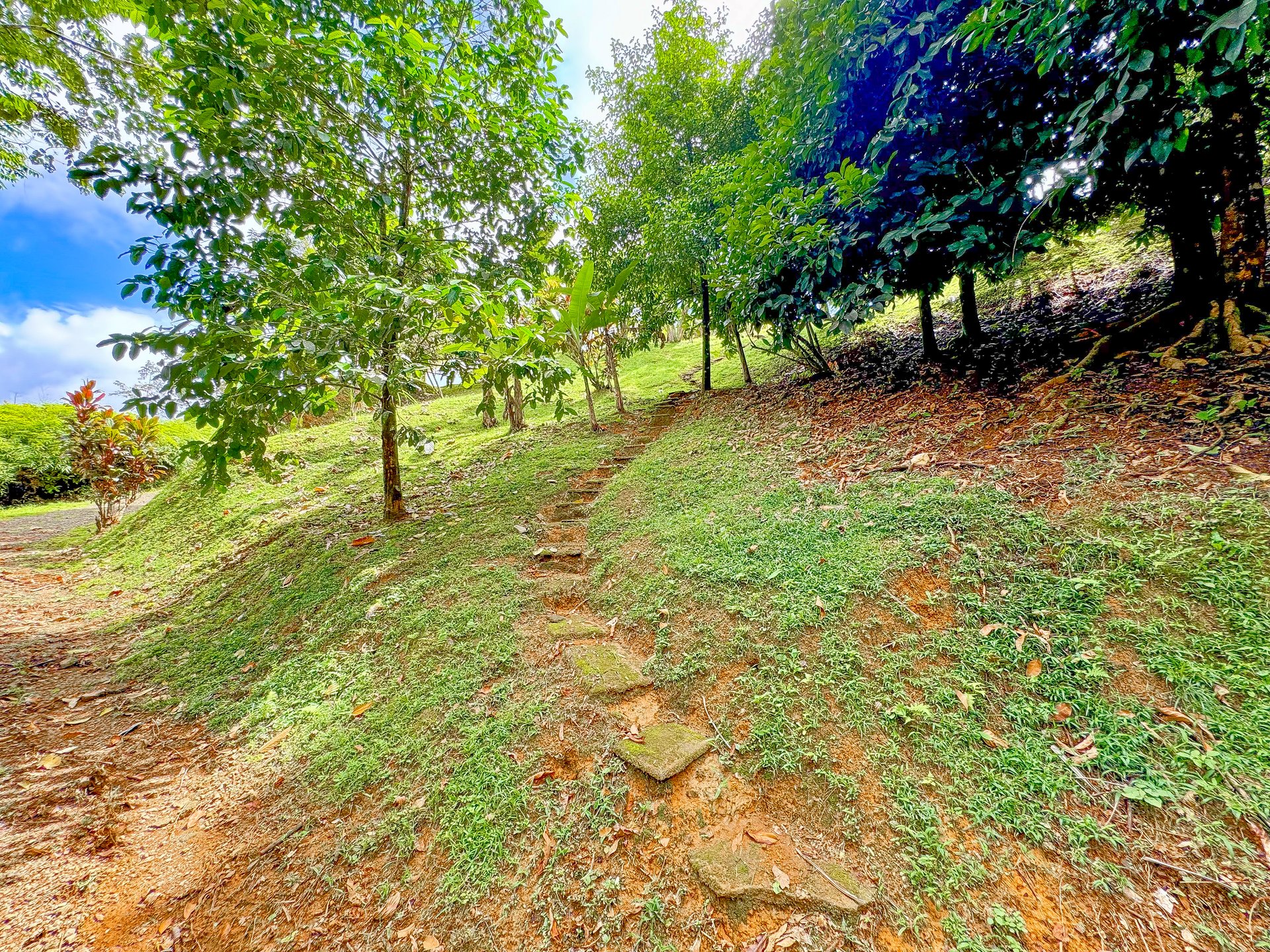 Jungle Retreat with River, Views & 2 Homes in Tres Rios
