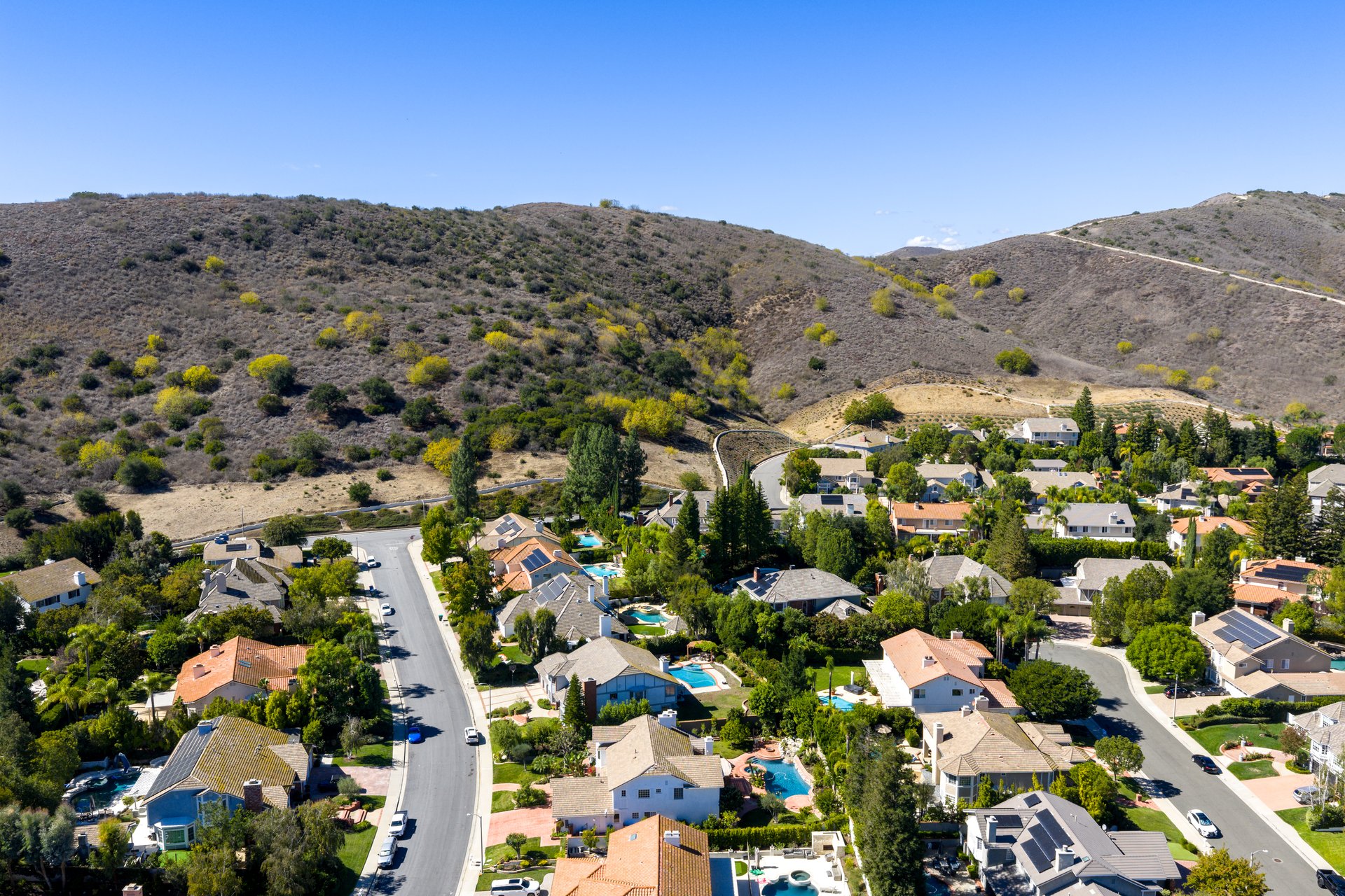 29515 Weeping Willow Drive