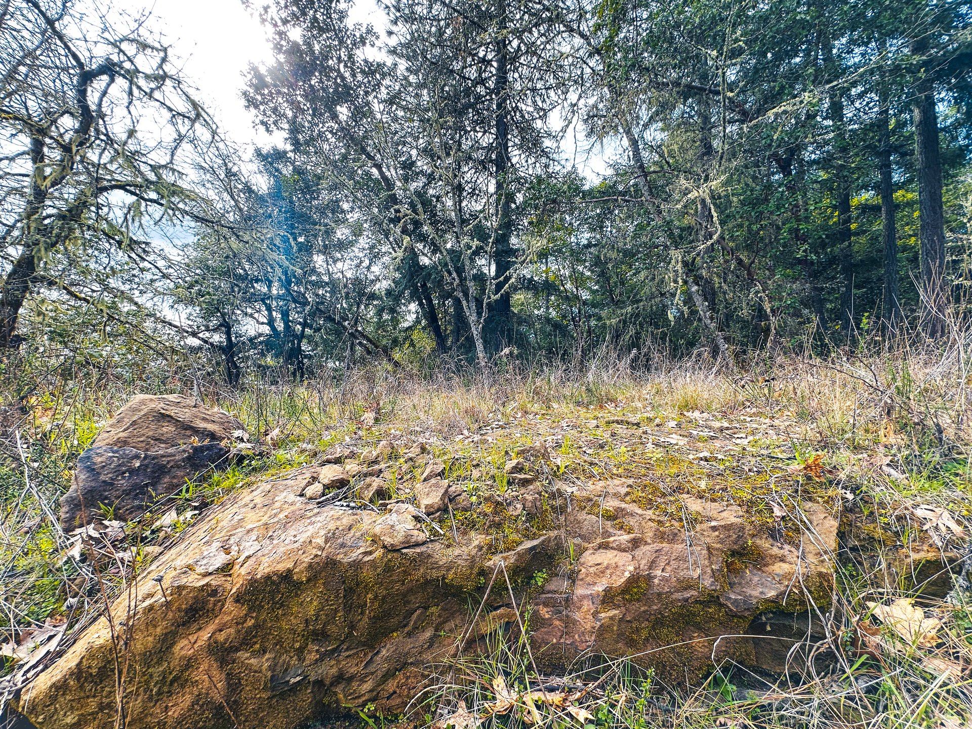 SUTHERLIN HEIGHTS
