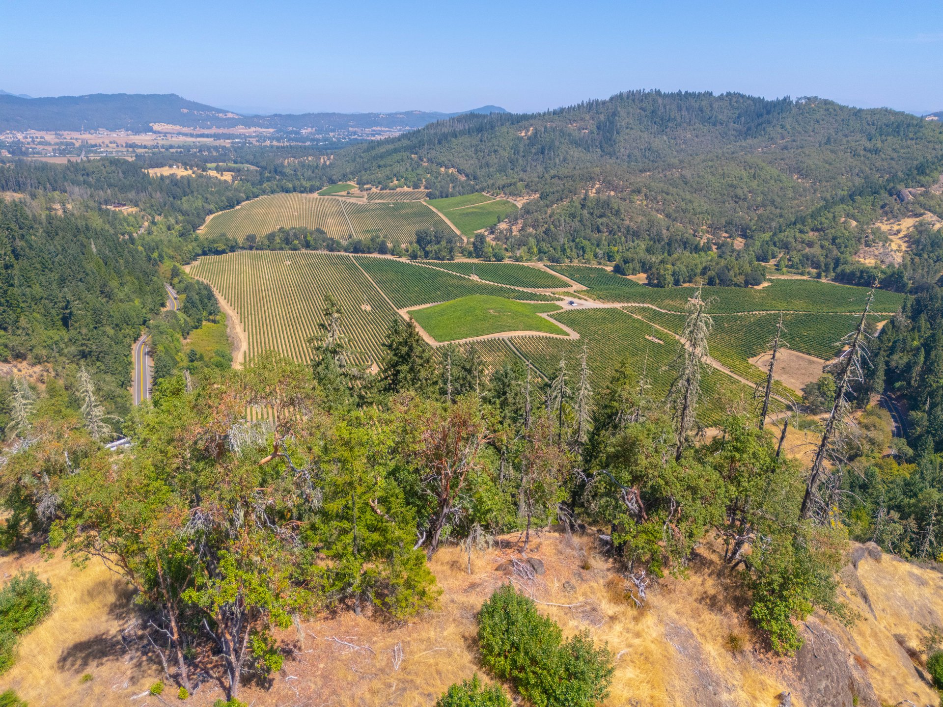 STRICKLAND BOULDER FOREST