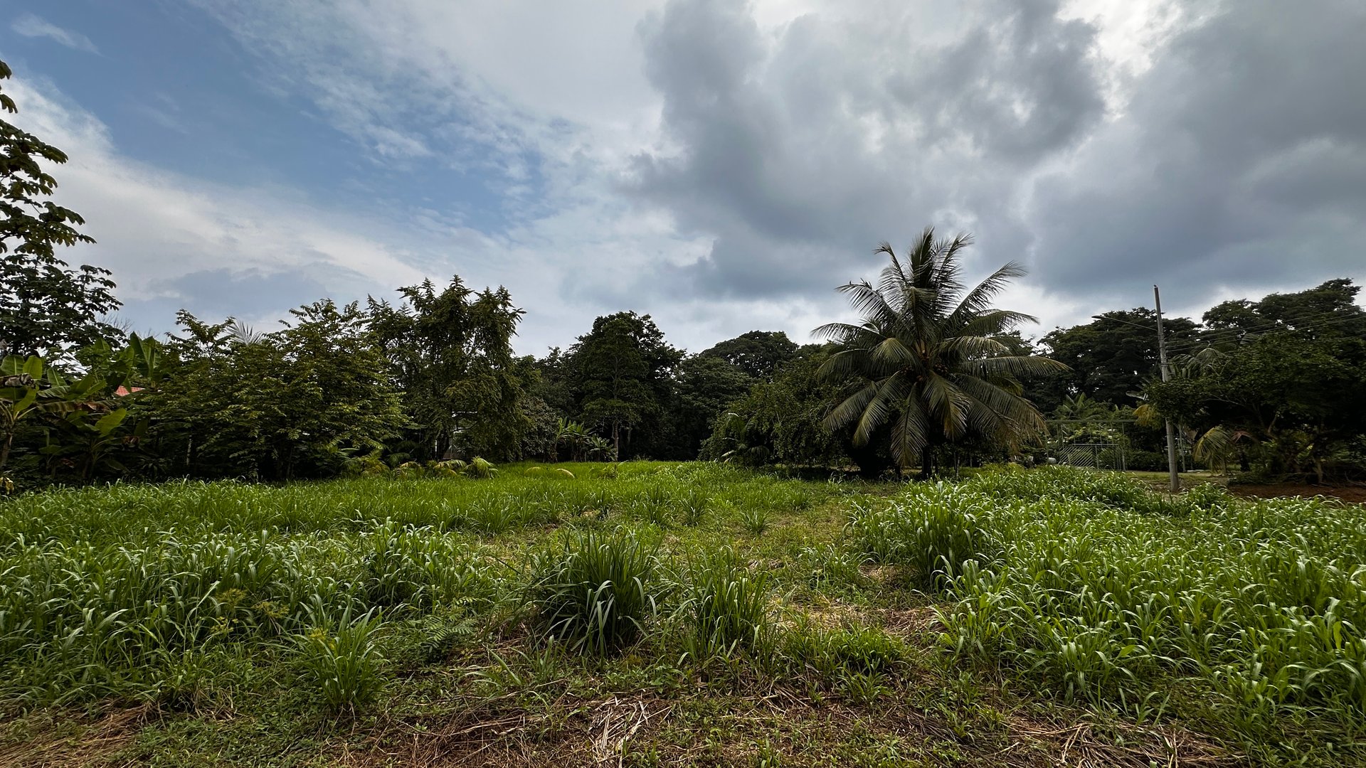 Beach Area Lot in Quiet Corner on Uvita Bahia