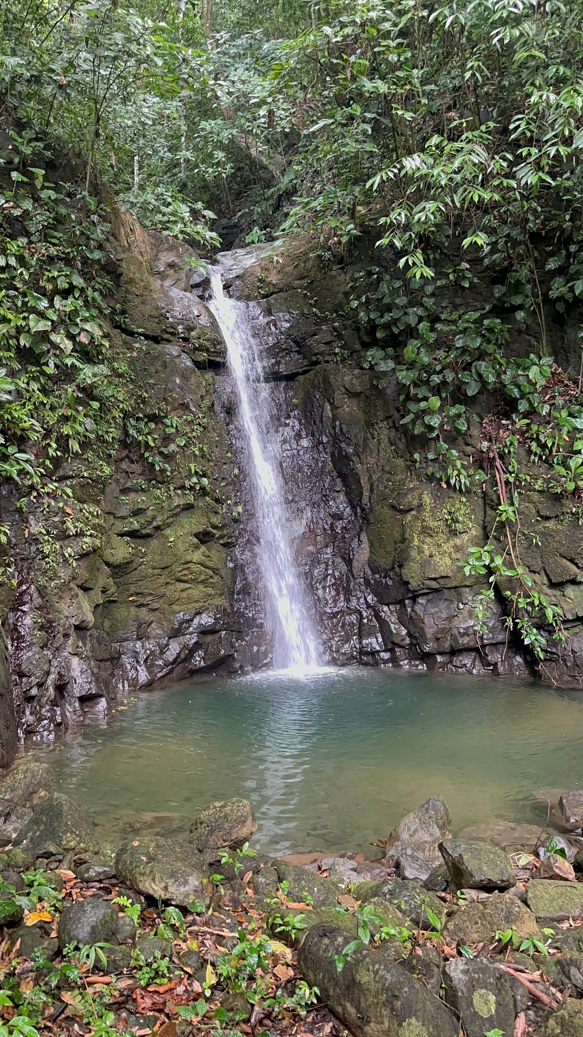 Ocean View Estate Lot with Private Waterfall – Uvita
