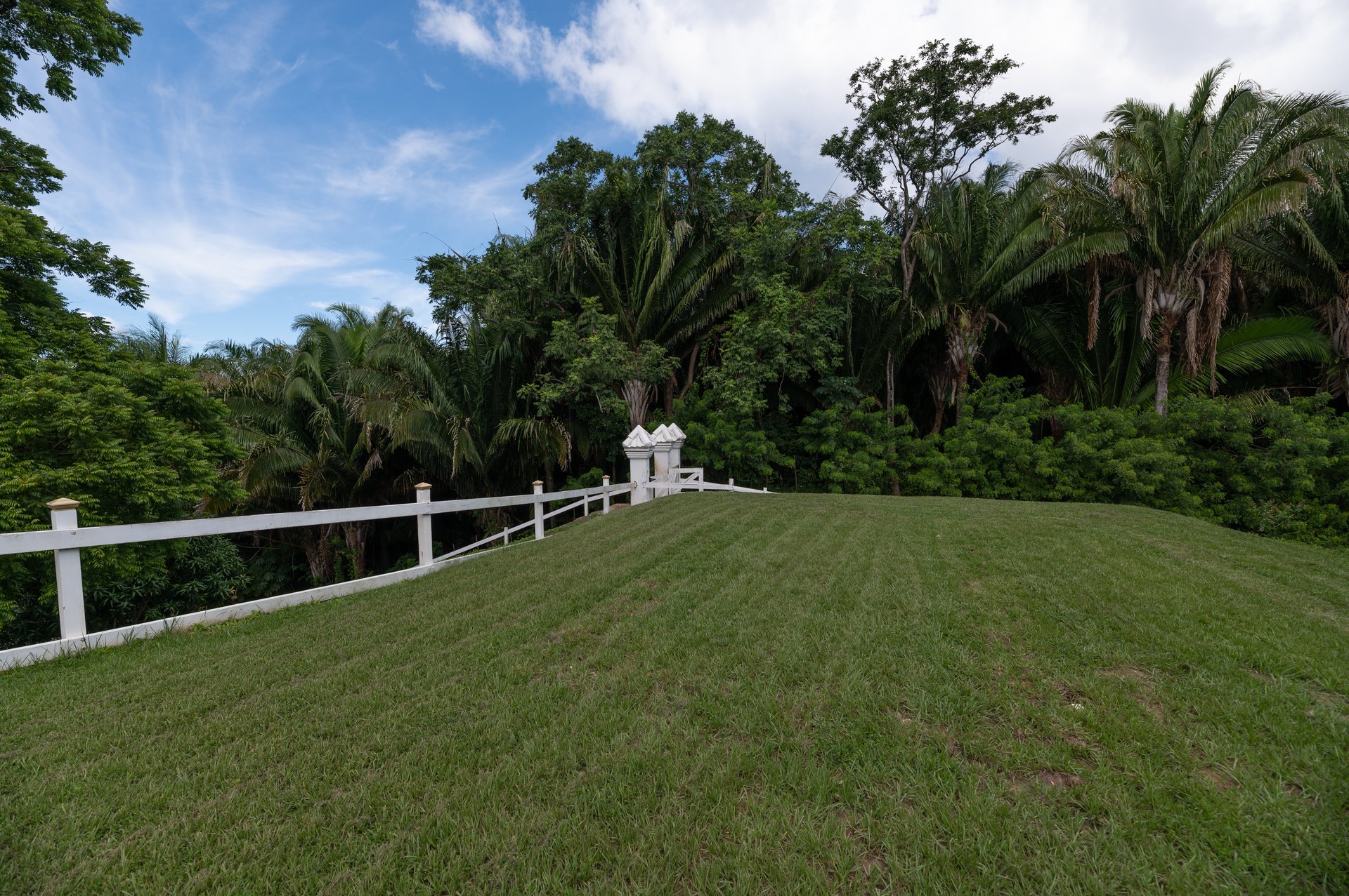 Little Farm By the Sea - Roatan Island