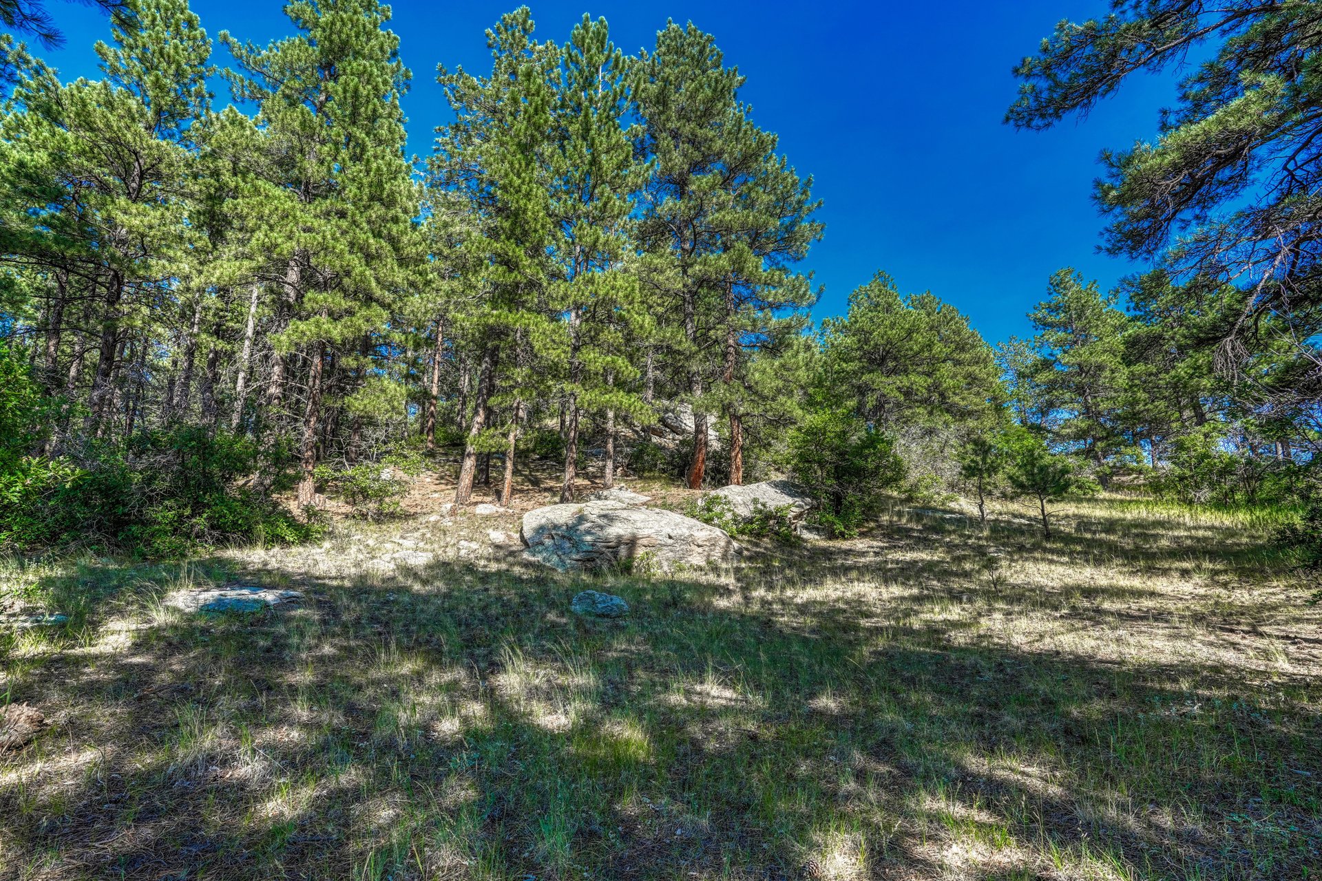 10345 Little Moon Trail
