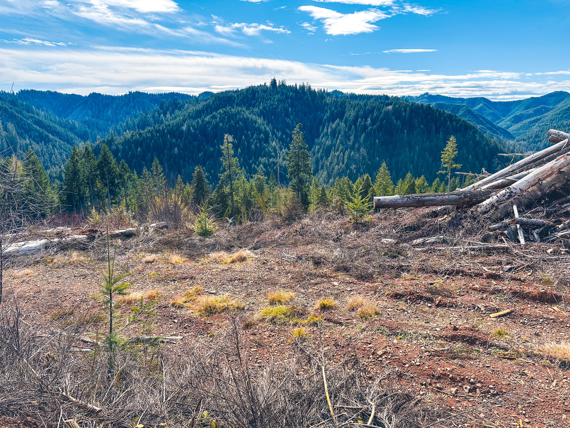 Smith River Back Woods
