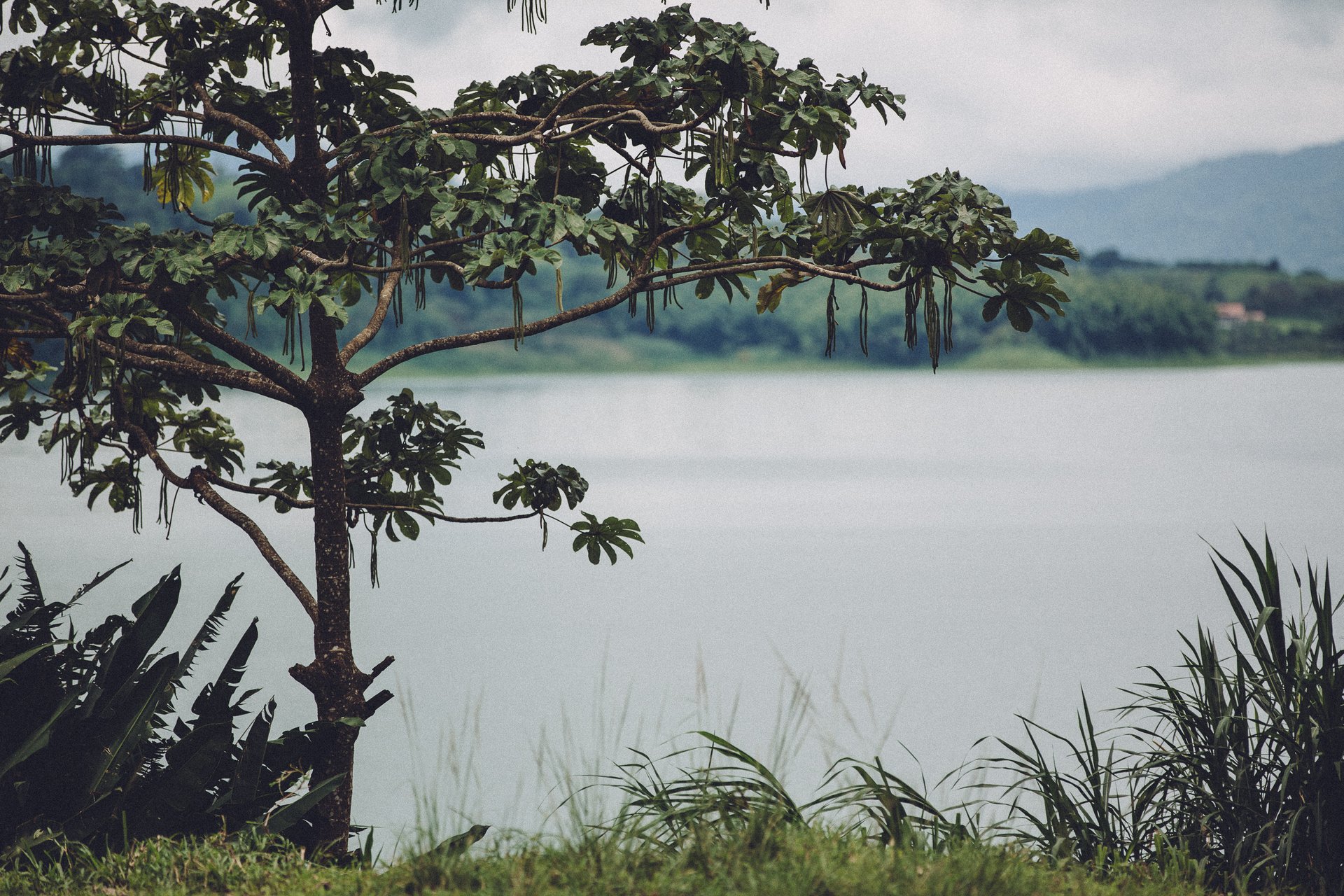  Punta Sabana & Mar Serena: Own the Last Great Coastline in Costa Rica!