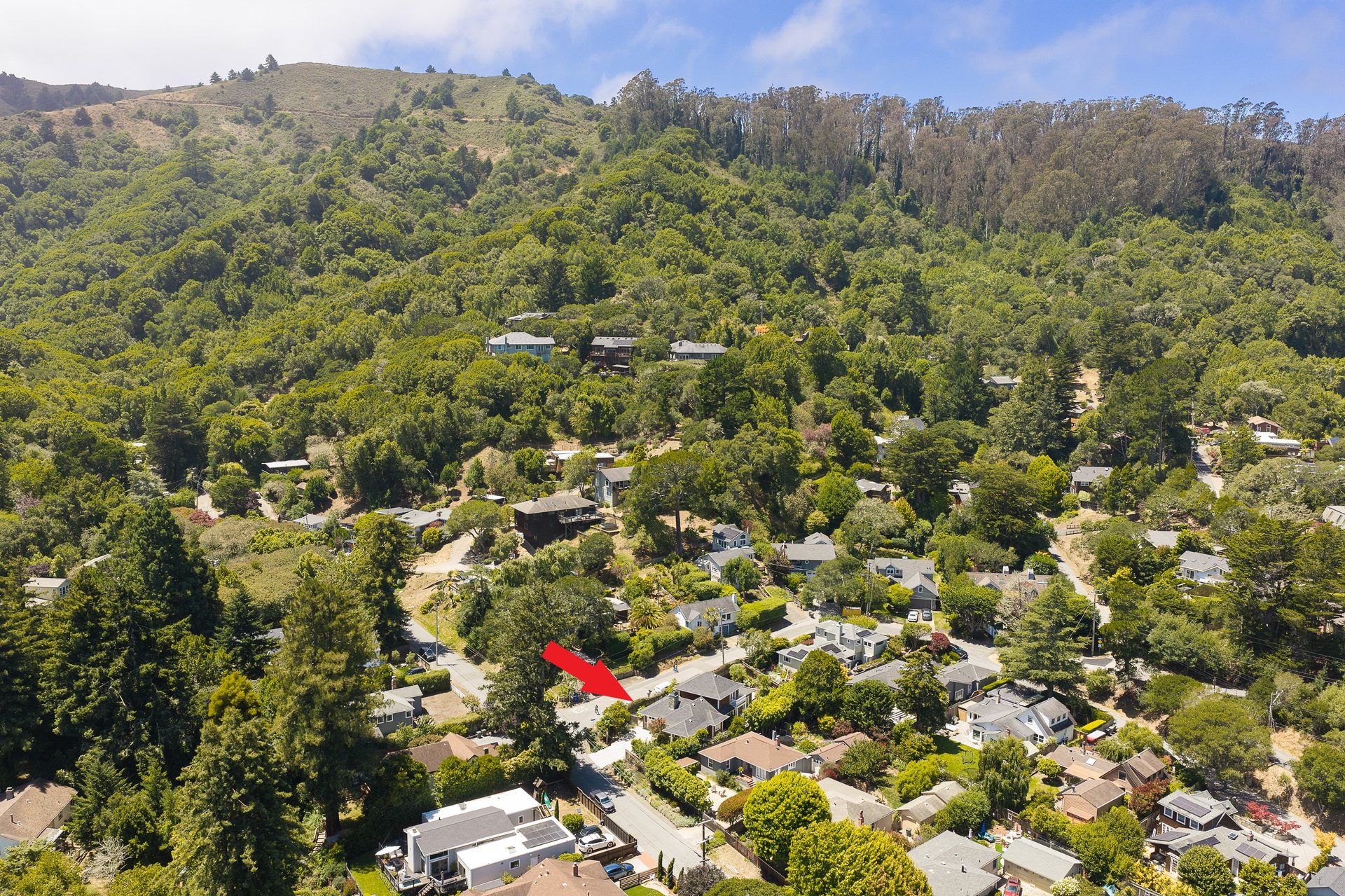 Stylish, Sunny, and Picture Perfect in Mill Valley