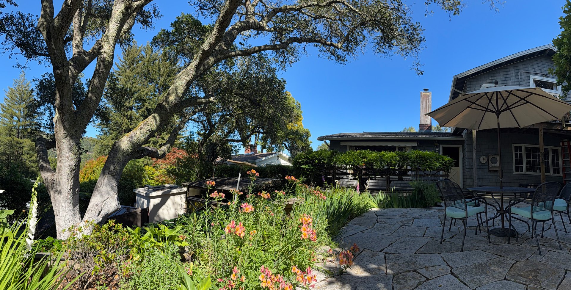 Mill Valley Legacy Property