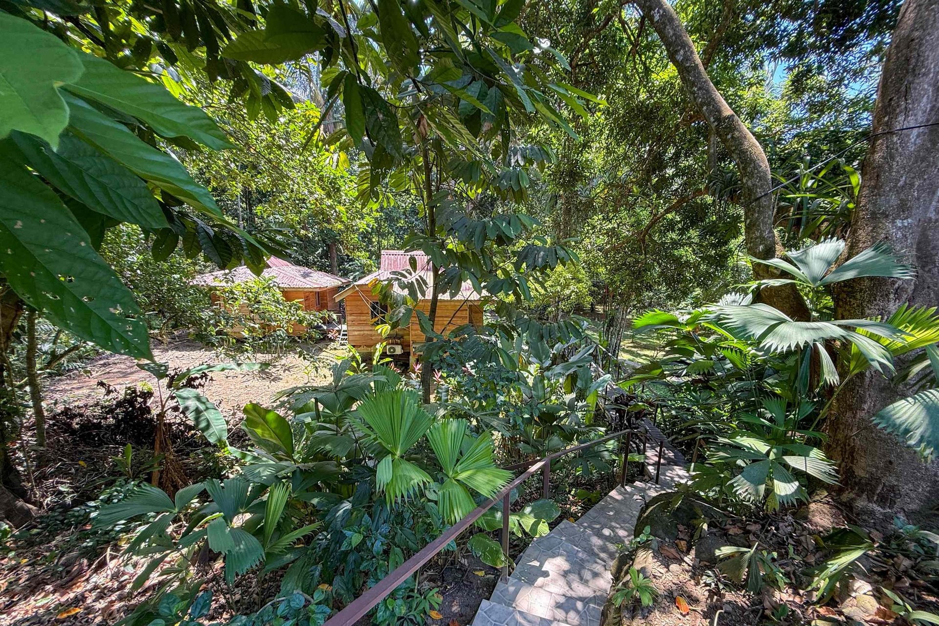  Gorgeous Jungle Hotel with 11 Beds including Owner/Manager Unit, Sparkling Pool & River Setting in Ojochal Costa Rica