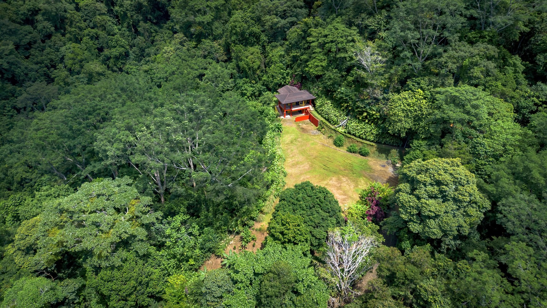 Build-Ready Ocean View Land with Guest House & Fruit Orchard | Tres Rios, Costa Rica