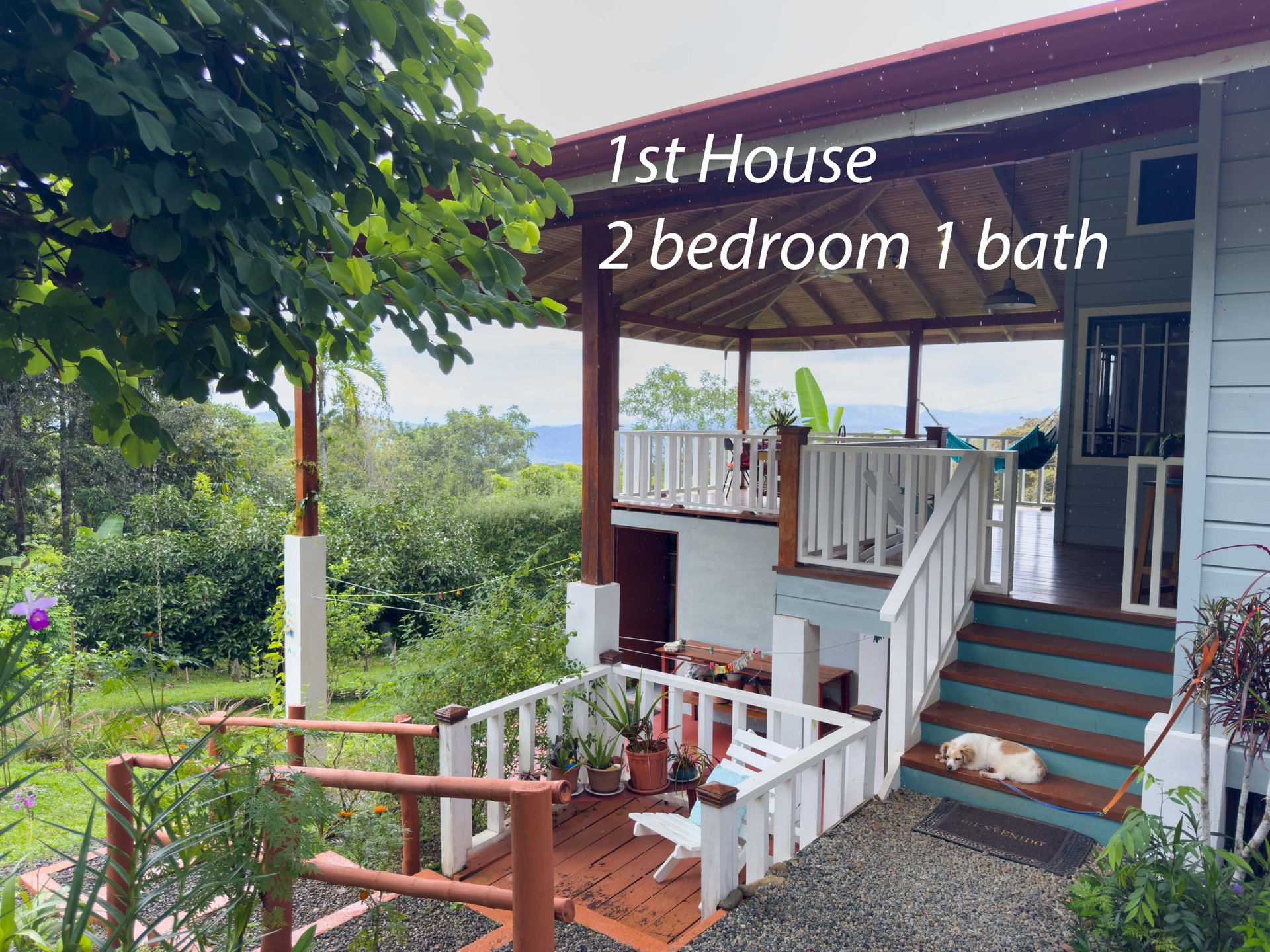 Tinamastes Eco Orchard | Creekside 2BR Home + Studio Casita