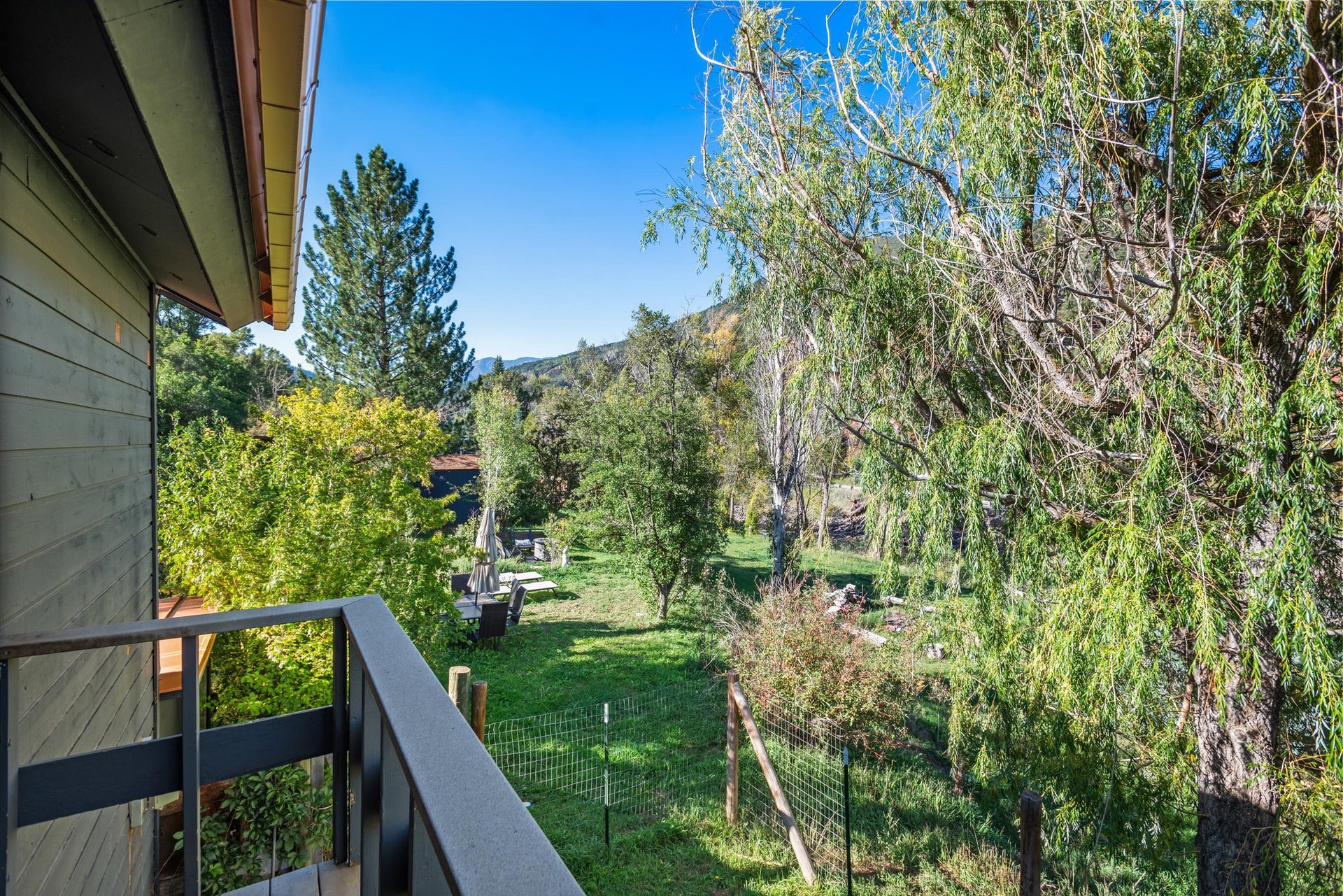 A Hidden Gem Along the Crystal River
