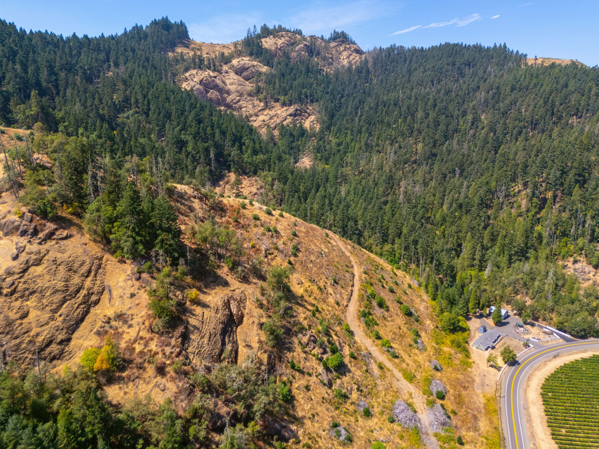 STRICKLAND BOULDER FOREST