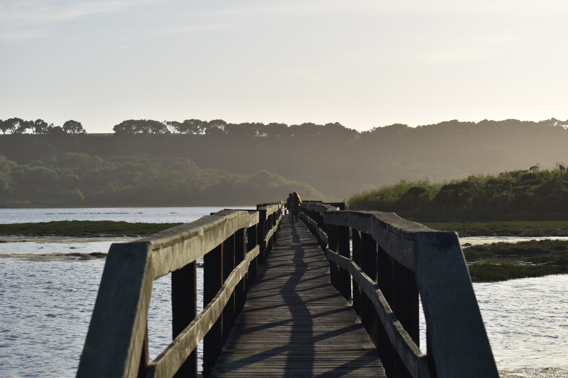 Monterey Preserve Estate Lots