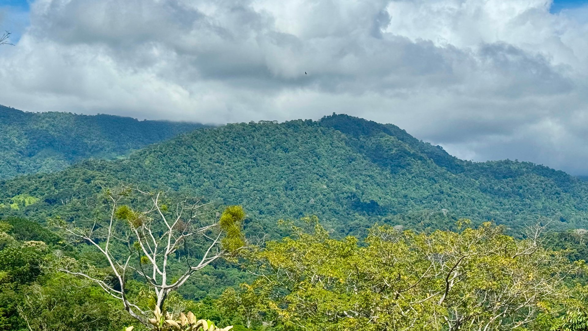 Las Terrazas Dream Estate | Spectacular Ocean & Mountain Views with a Waterfall 