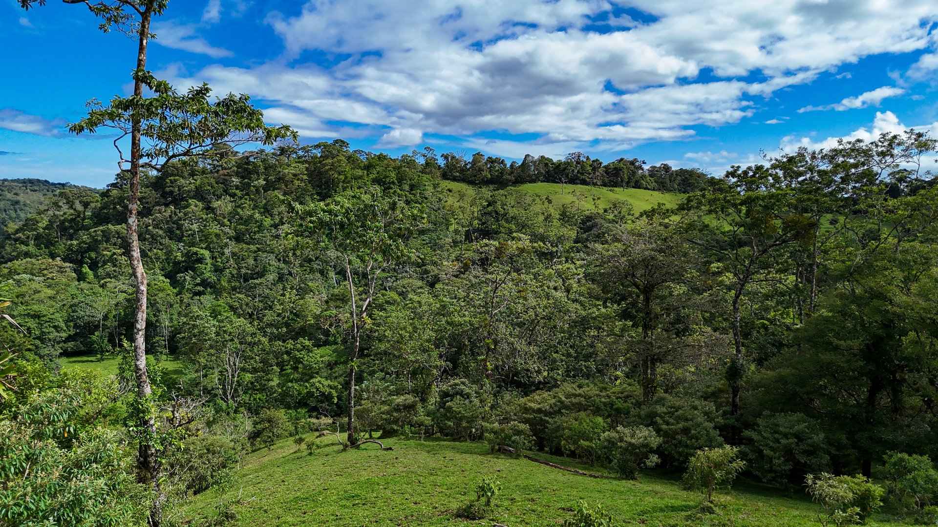 Finca Altamira | Boasting breathtaking panoramic views of the majestic Miravalles Volcano!