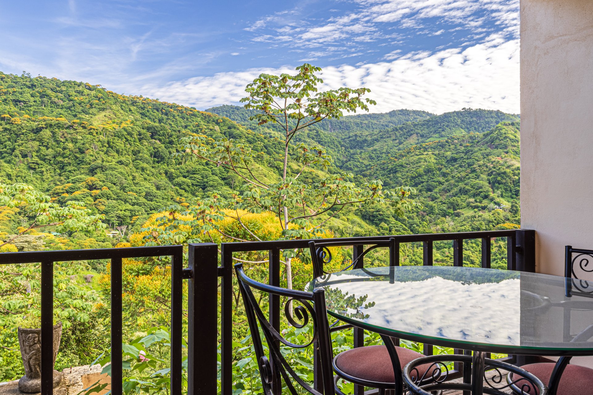 Mountain Farm & Homestead Opportunity in San Josecito, Costa Rica