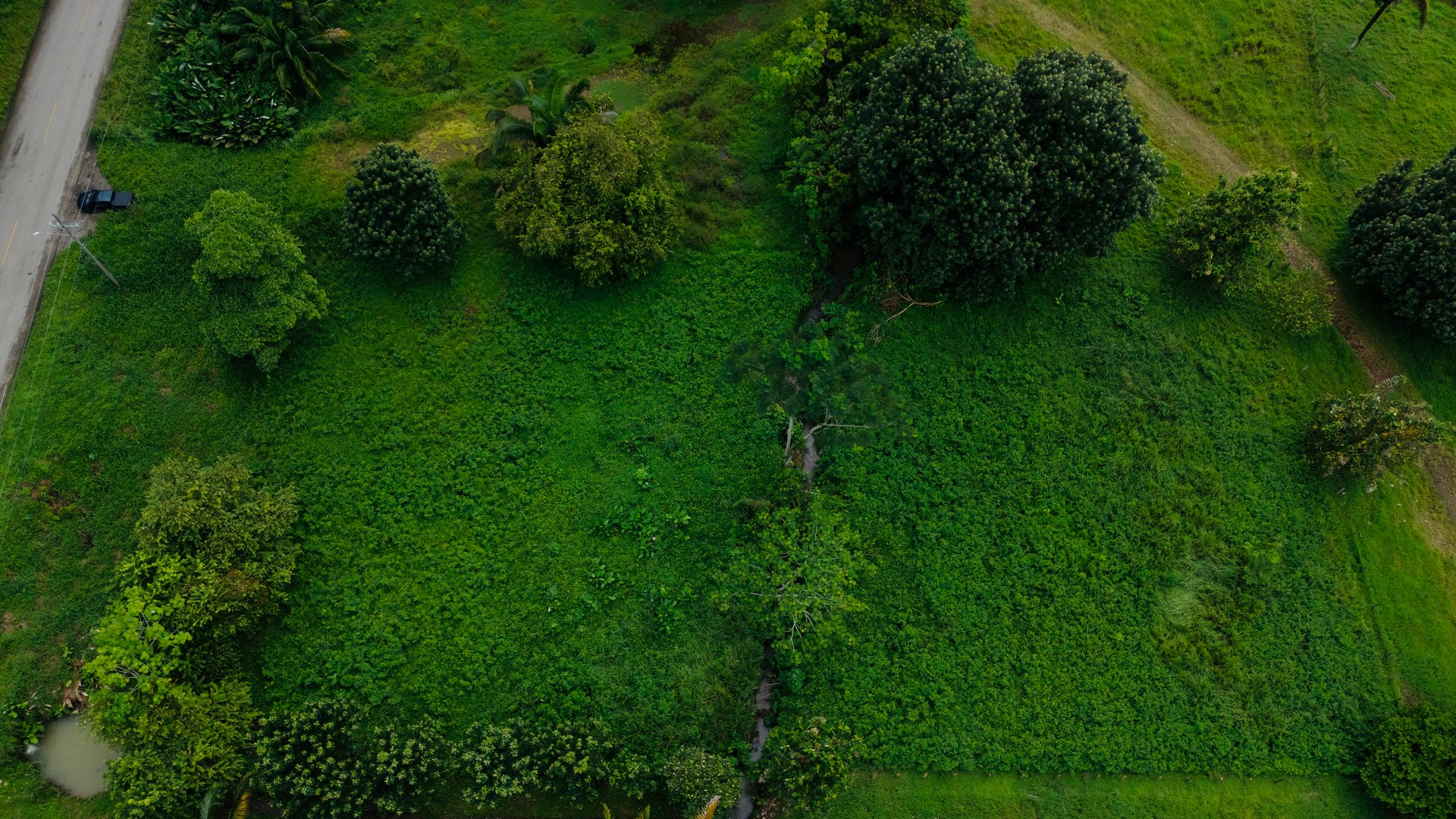 Strategic 5000sqm Commercial Property in Uvita: Perfect for any Business Vision