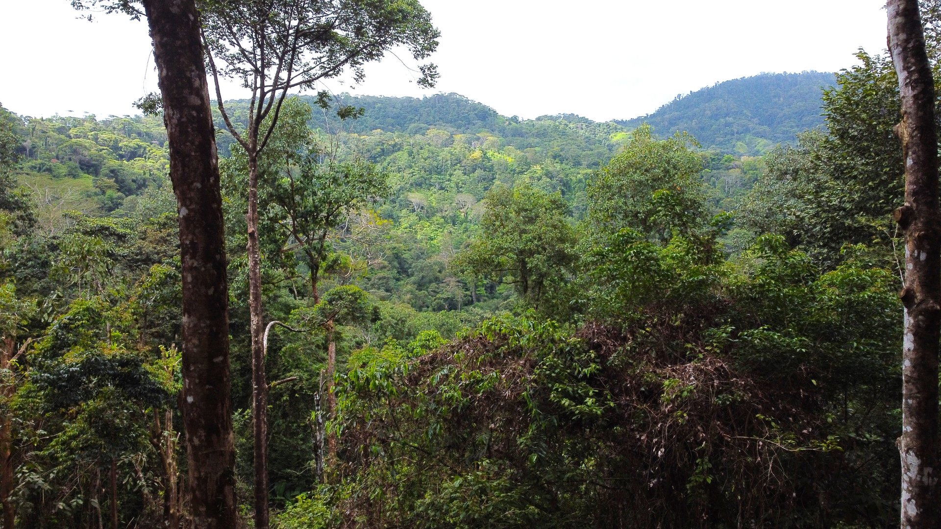 Mountain View Building Lot in Prestigious Gated Community With Private Waterfall & Two Building Sites
