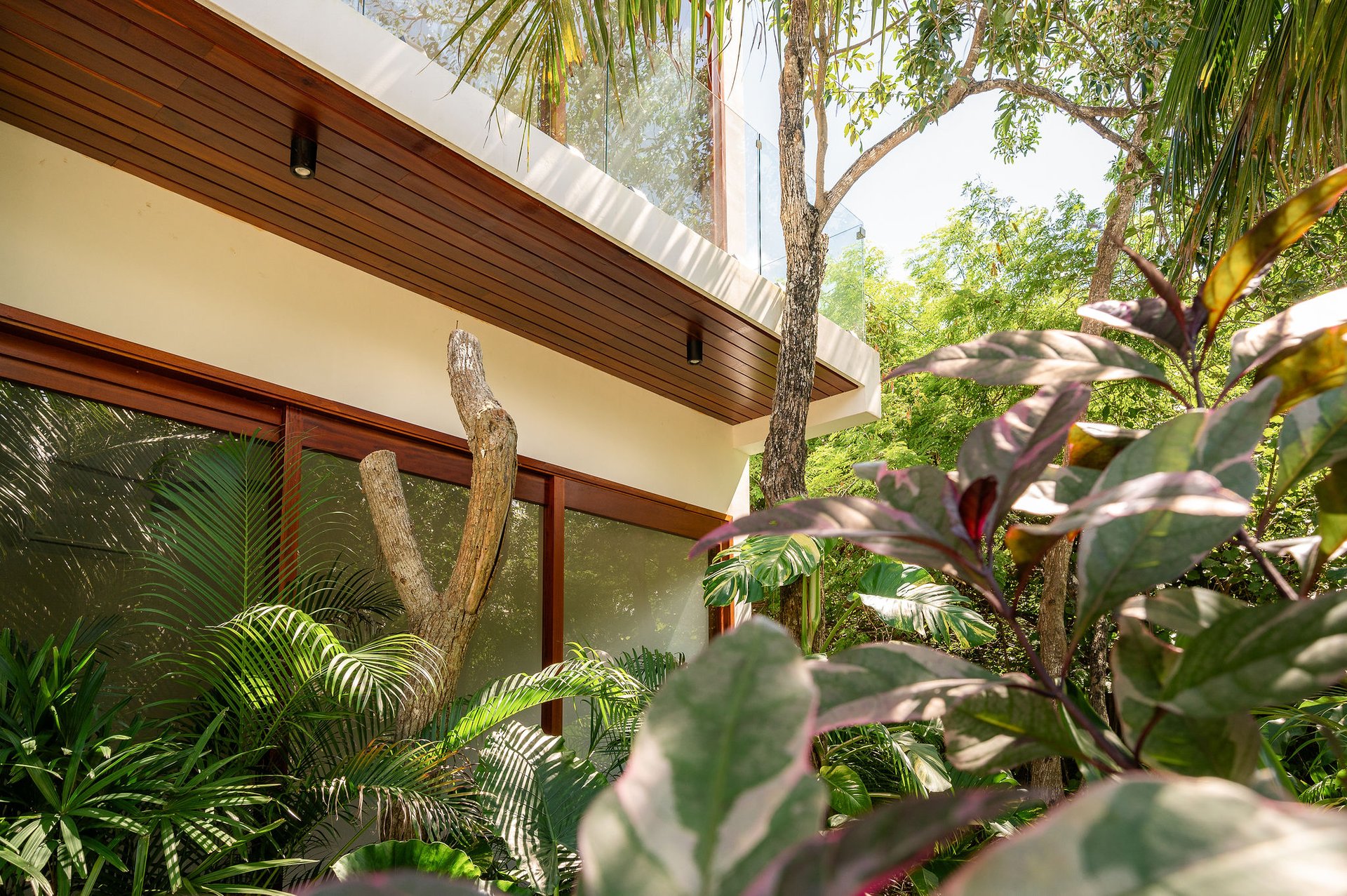 Miramar 48 Playa Del Carmen, Quintana Roo 77710