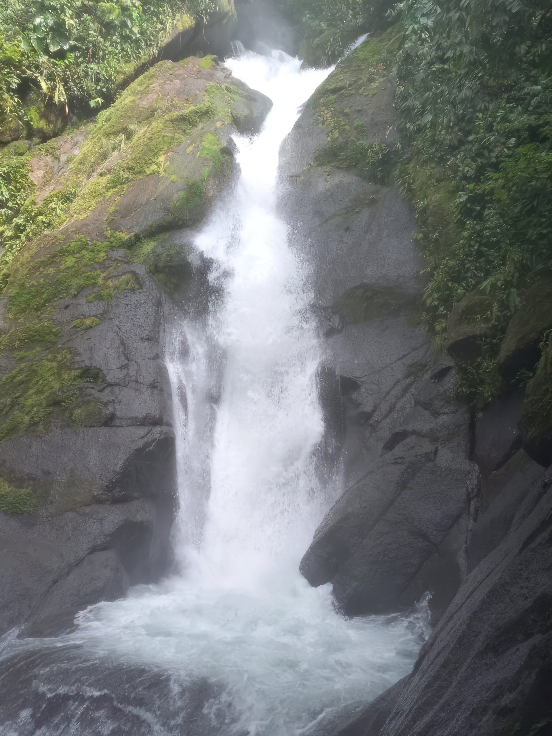 61 Acres of Pure Nature for Off-Grid Living & Conservation | Quepos