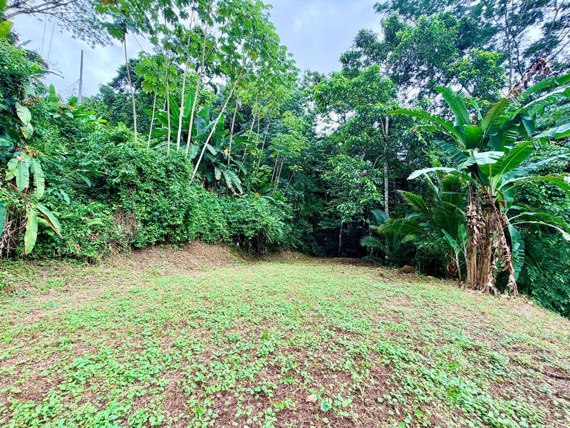 Tres Ríos Jungle Sanctuary | Ready-to-Build Lot Surrounded by Nature