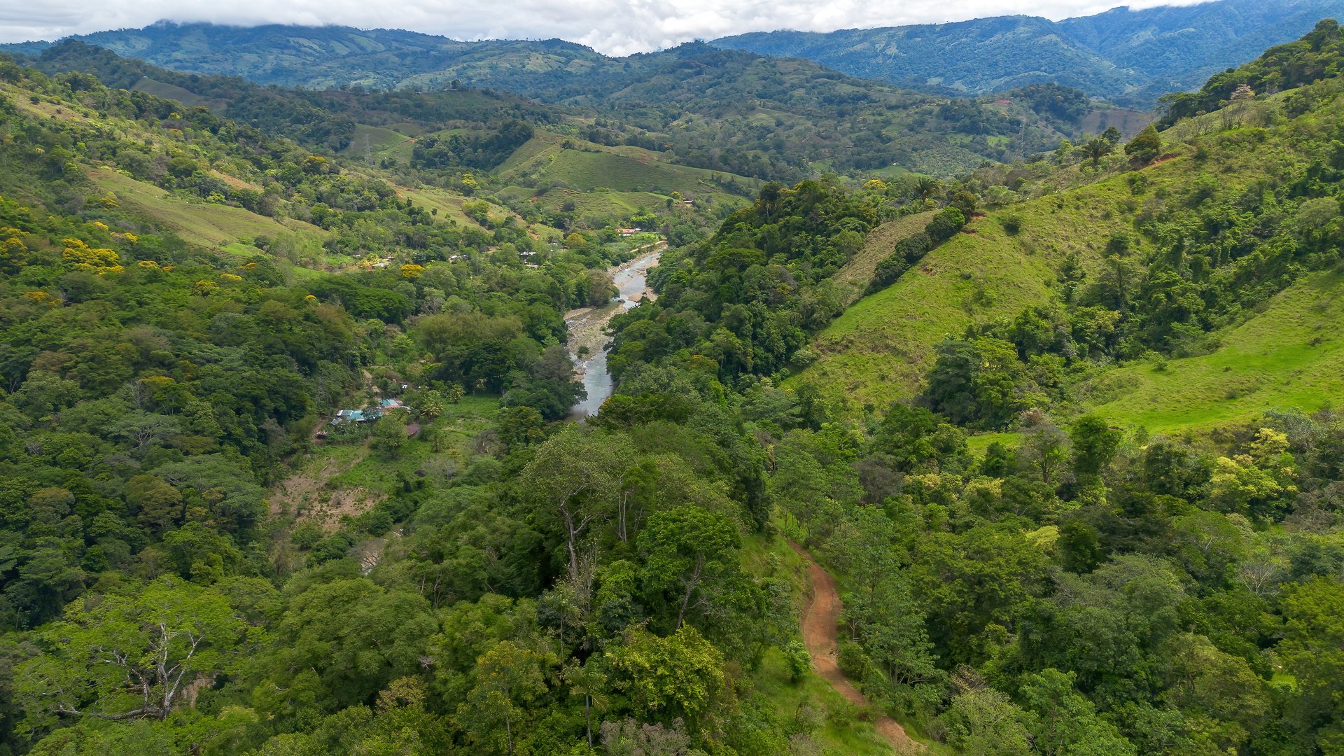 60+ Hectares in Platanillo | Own Your Own Mountain in Costa Rica