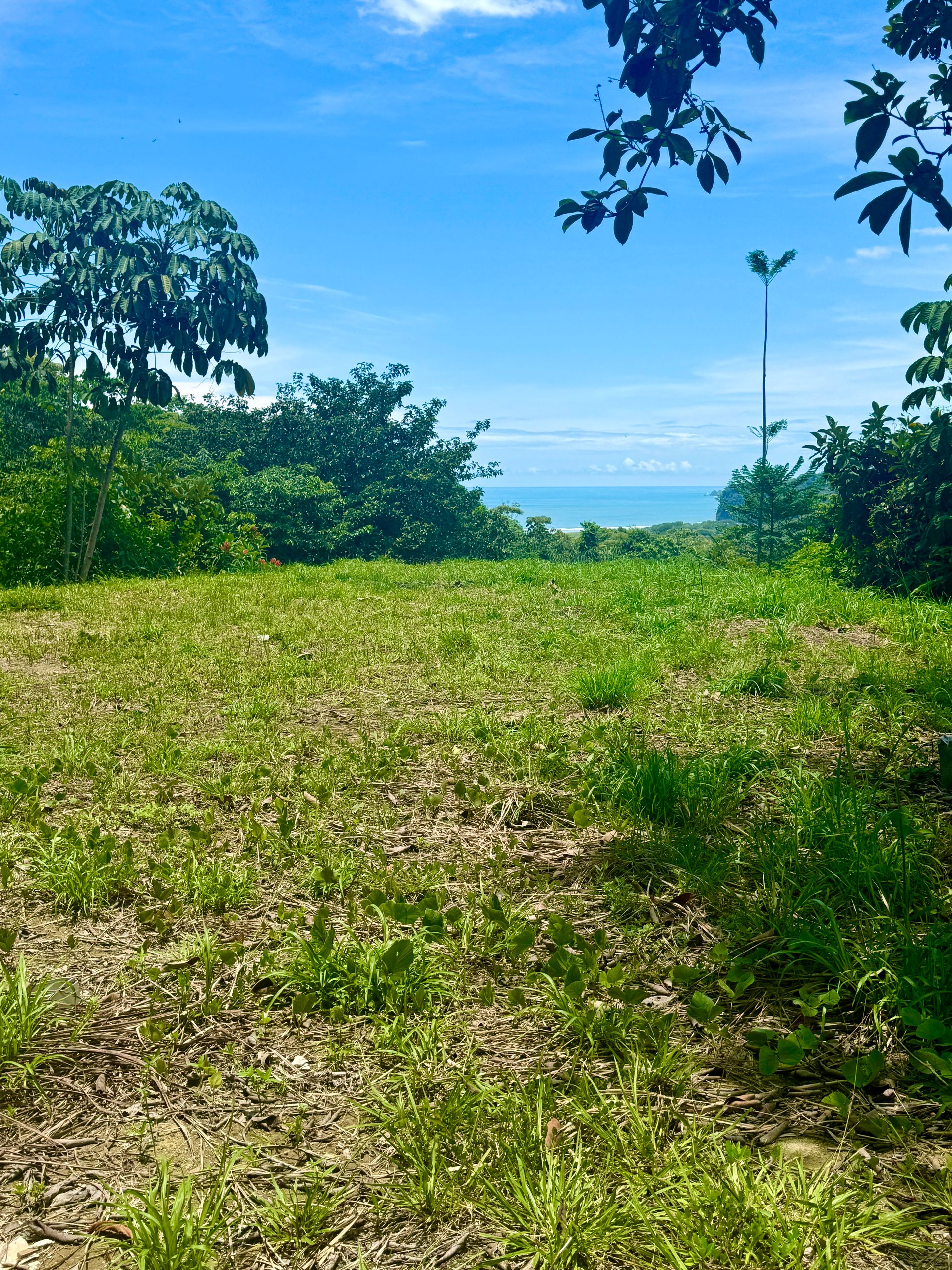 Lot in Calle Perezoso